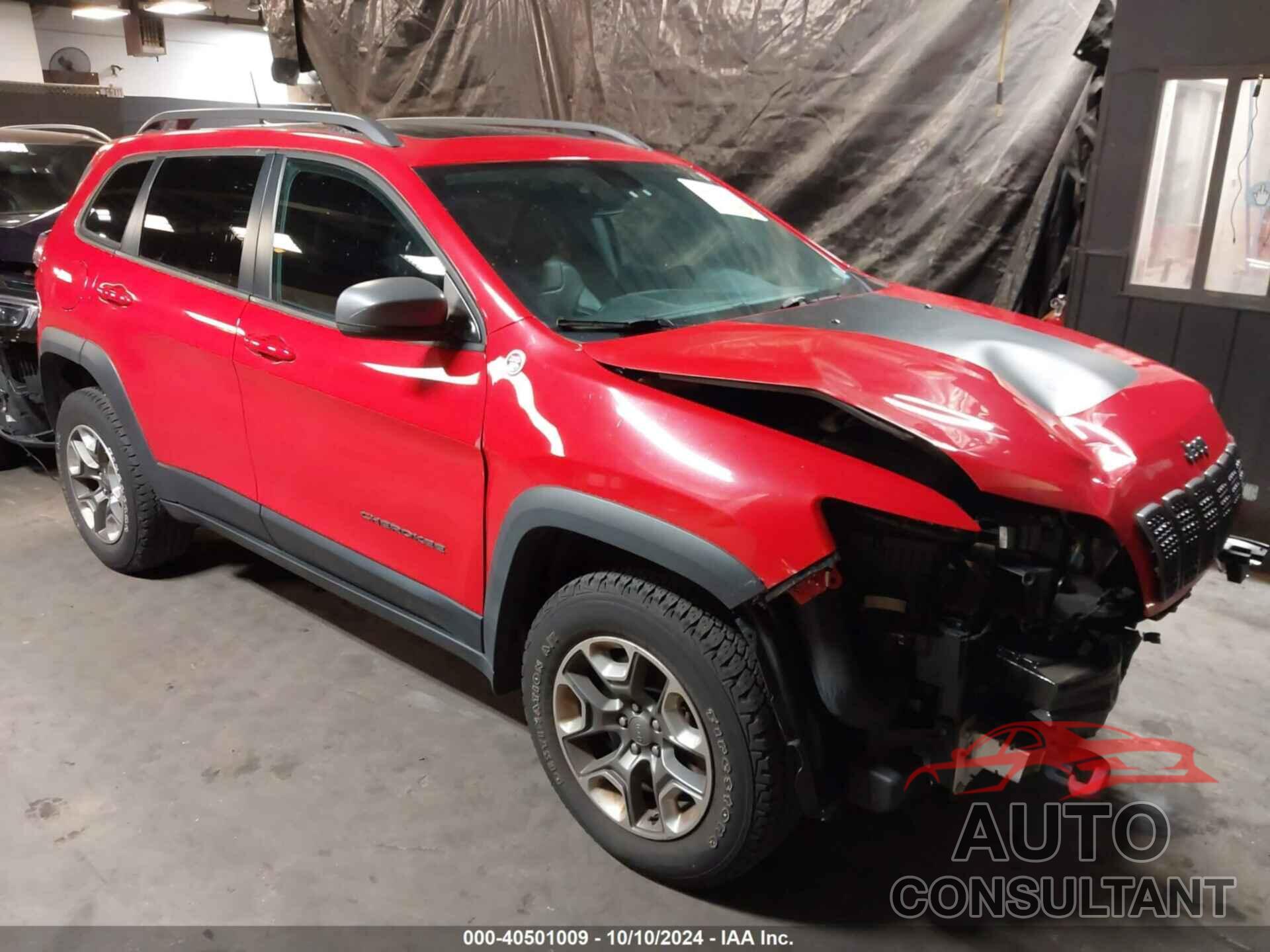 JEEP CHEROKEE 2019 - 1C4PJMBX5KD200123