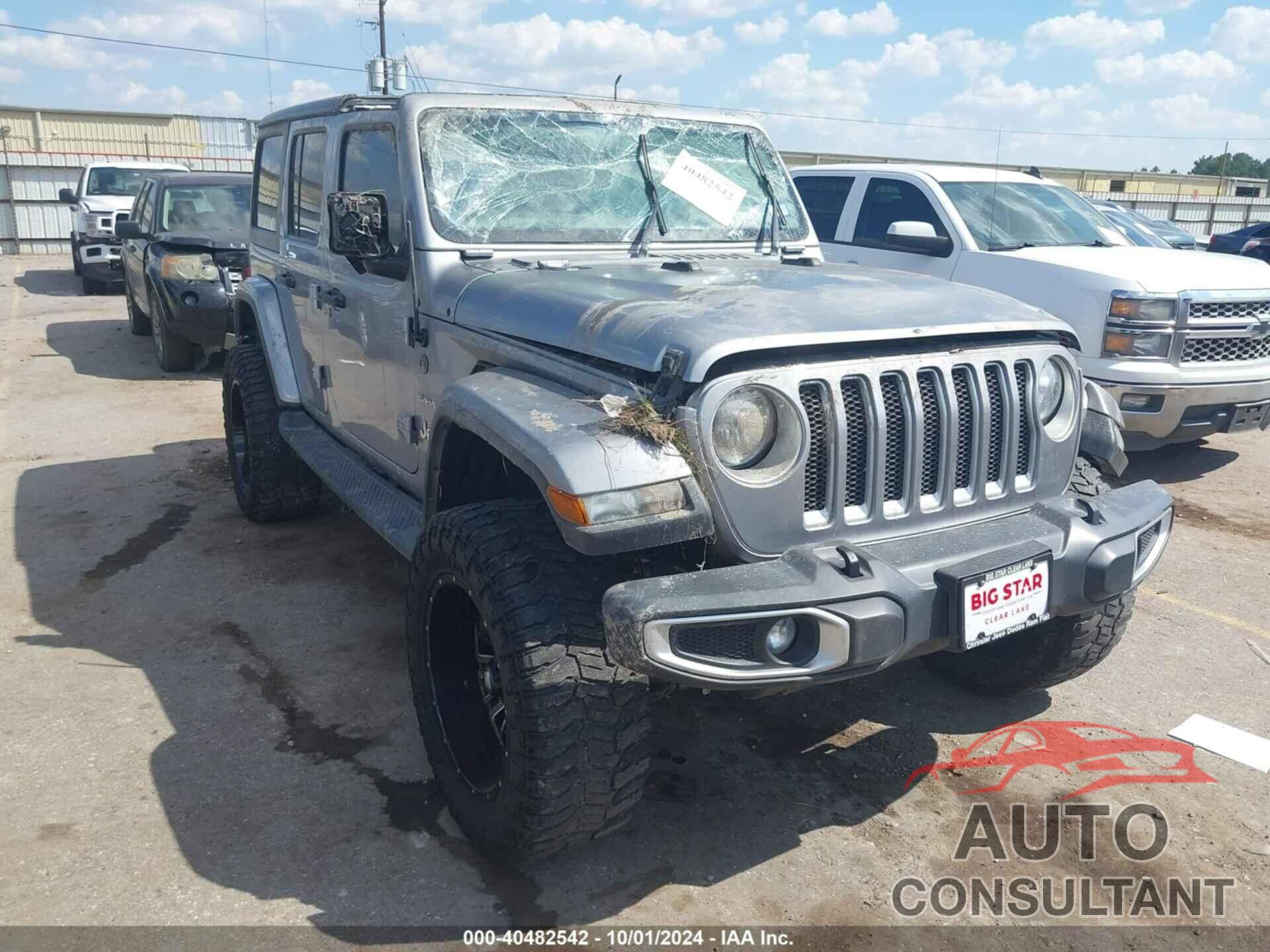 JEEP WRANGLER UNLIMITED 2020 - 1C4HJXEN1LW267923