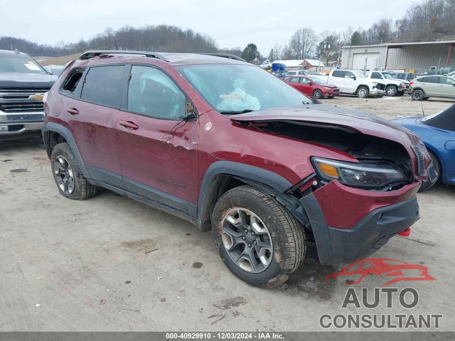 JEEP CHEROKEE 2019 - 1C4PJMBX1KD314149