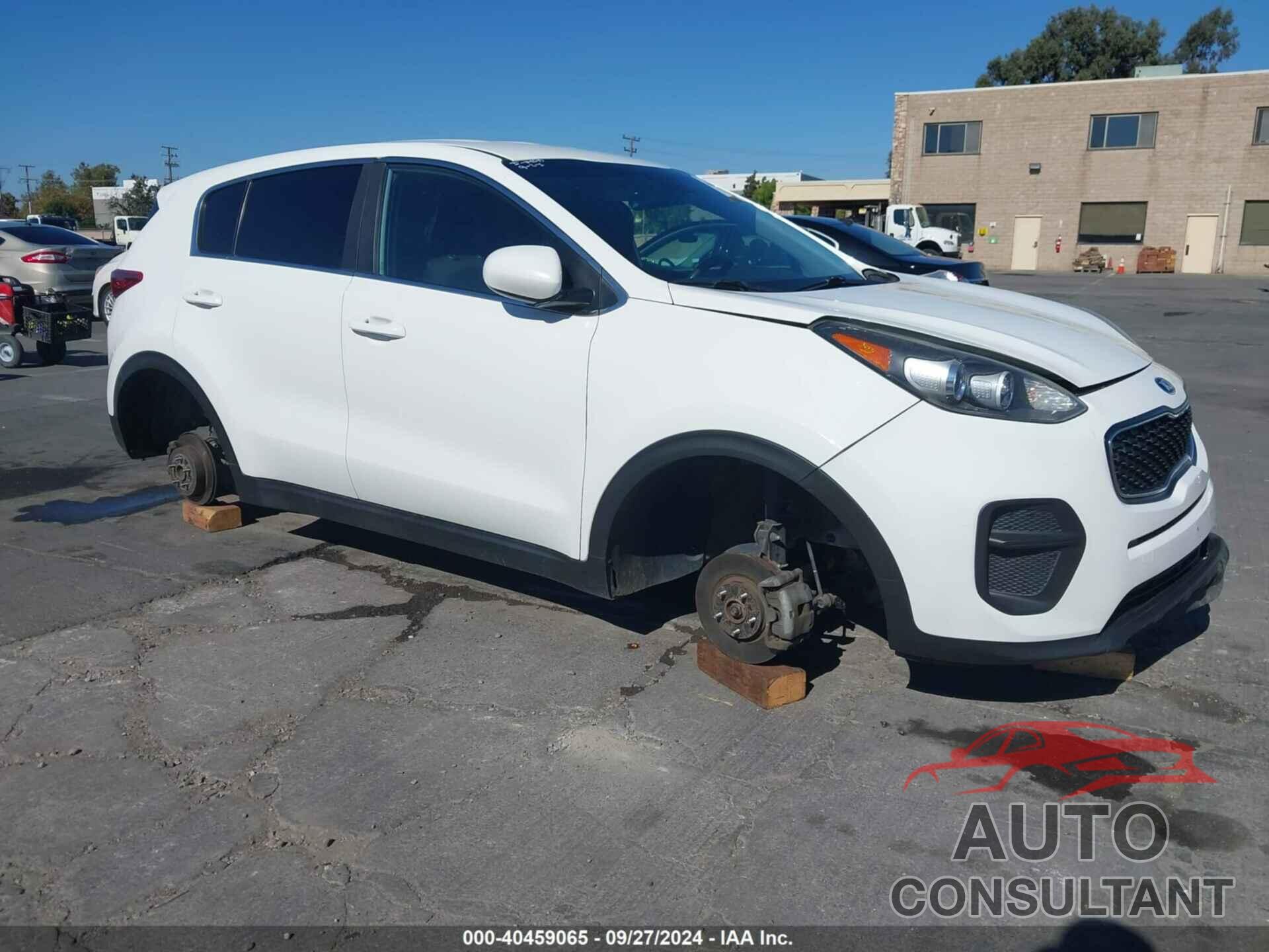 KIA SPORTAGE 2017 - KNDPM3AC8H7229266