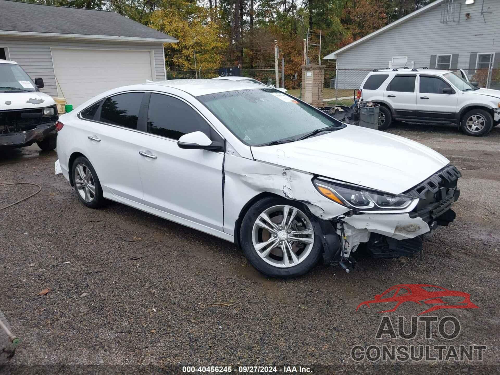 HYUNDAI SONATA 2019 - 5NPE34AF2KH809531