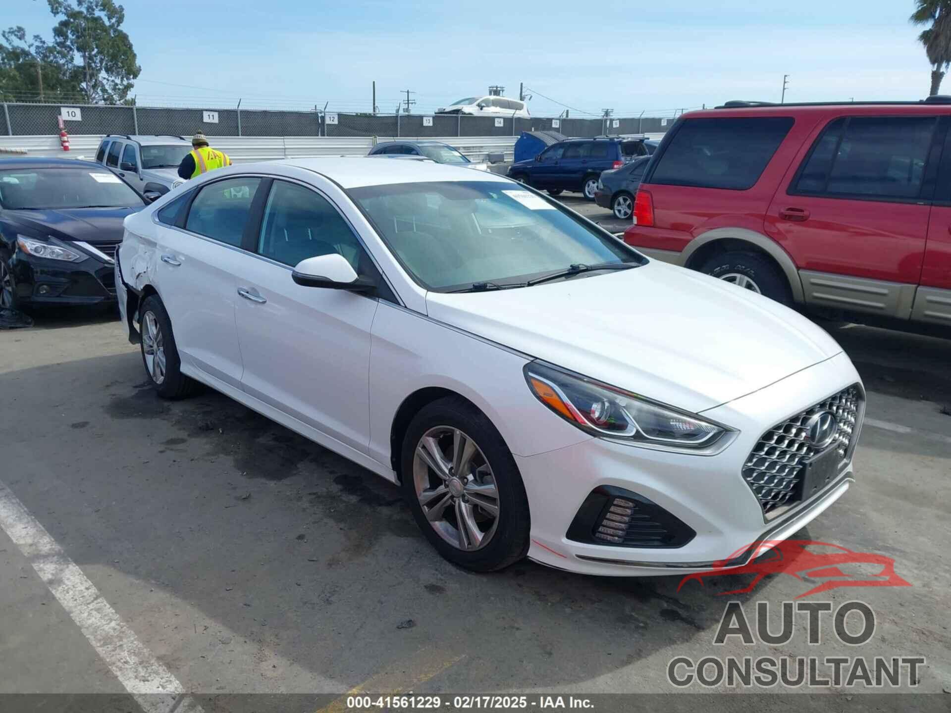 HYUNDAI SONATA 2019 - 5NPE34AF6KH786609