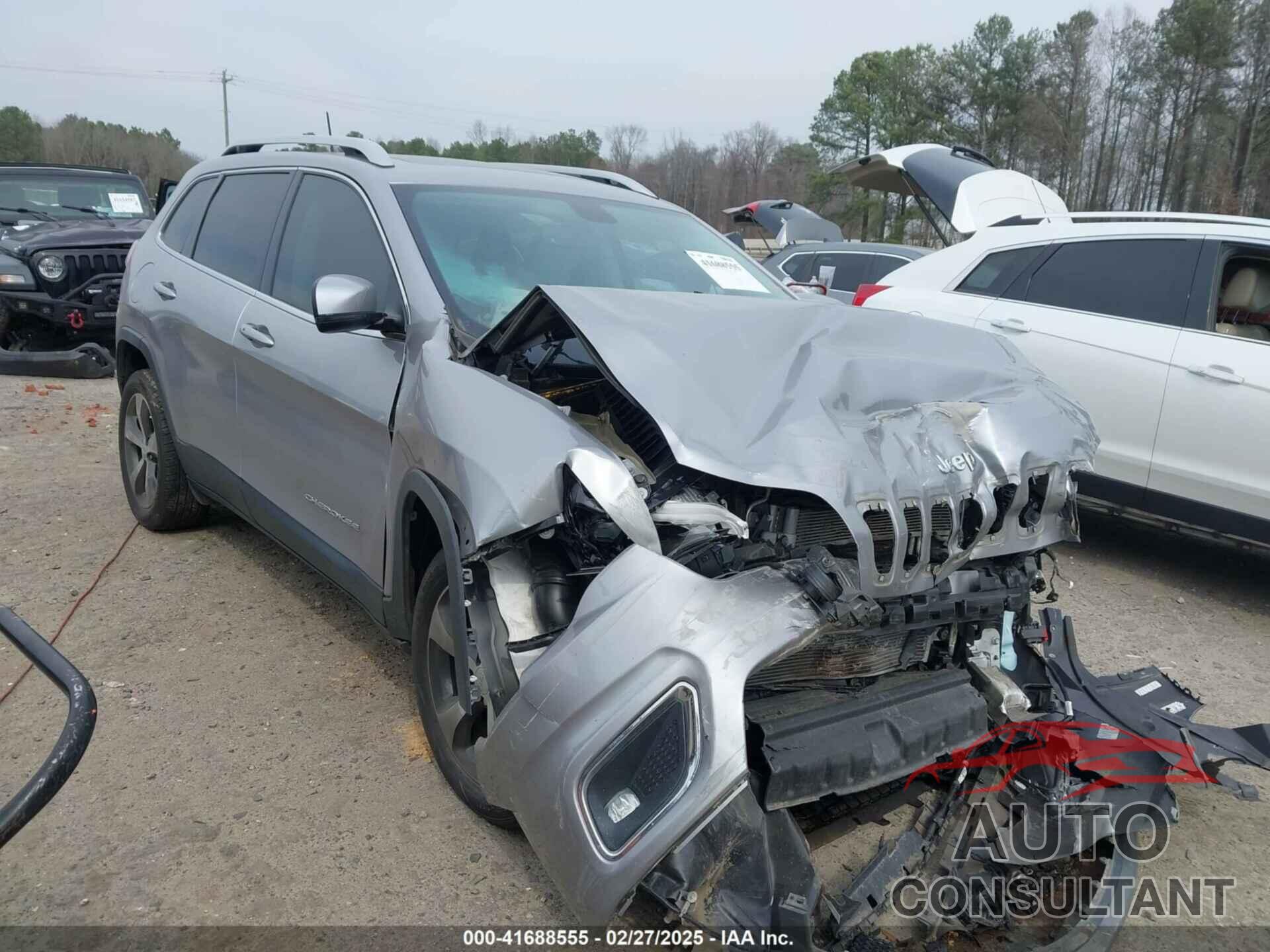 JEEP CHEROKEE 2019 - 1C4PJLDN0KD300846