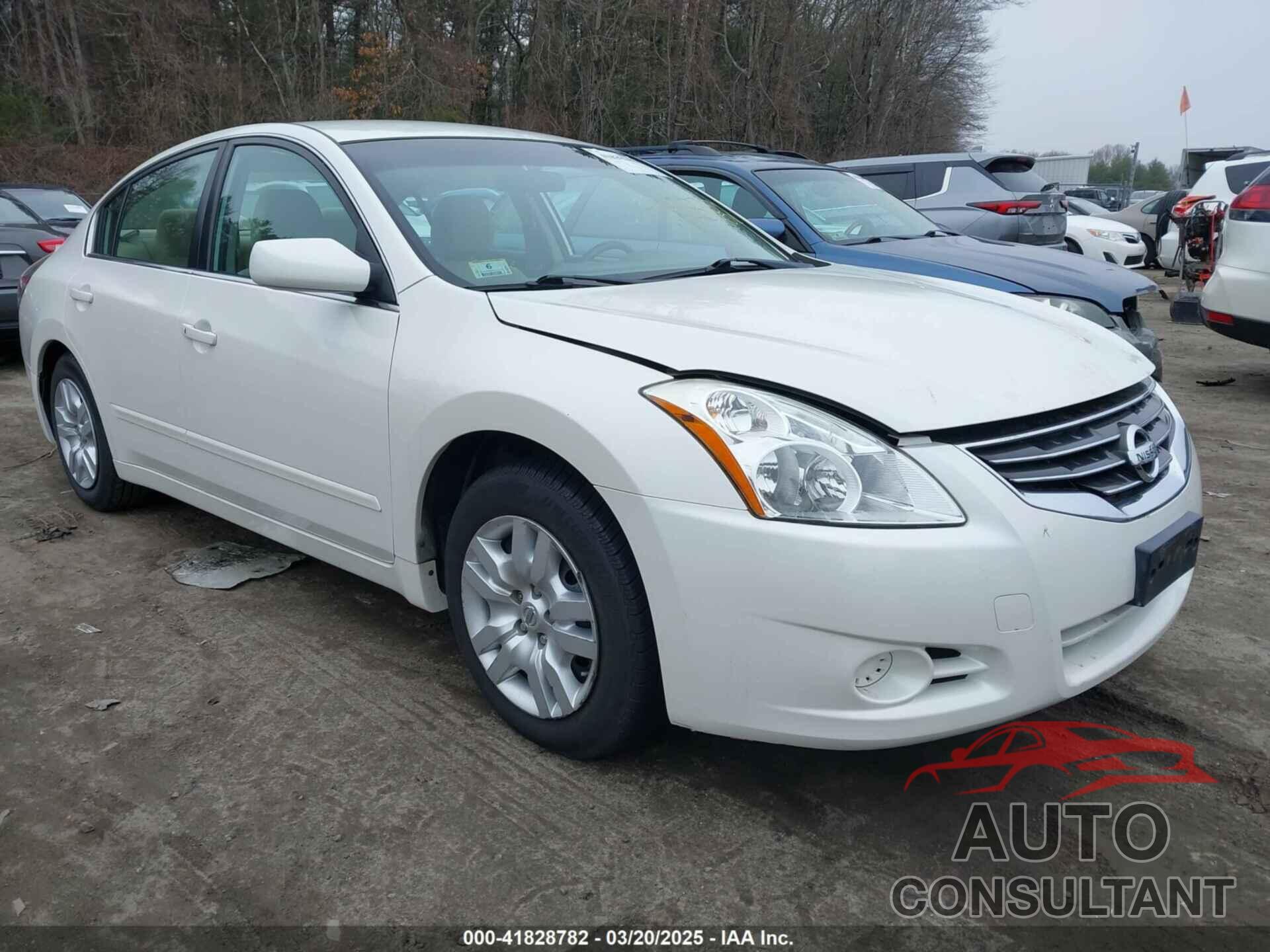 NISSAN ALTIMA 2011 - 1N4AL2AP6BN487915