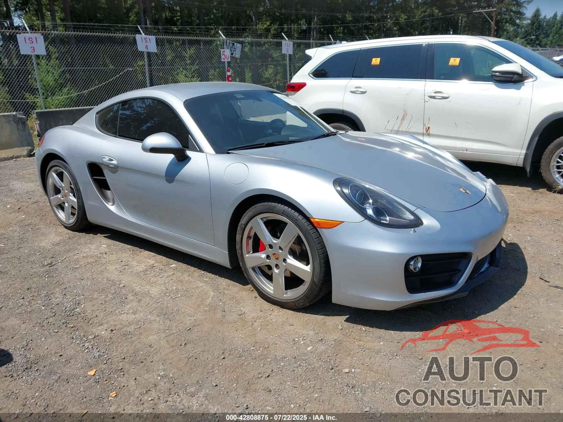 PORSCHE CAYMAN 2015 - WP0AA2A89FK160151