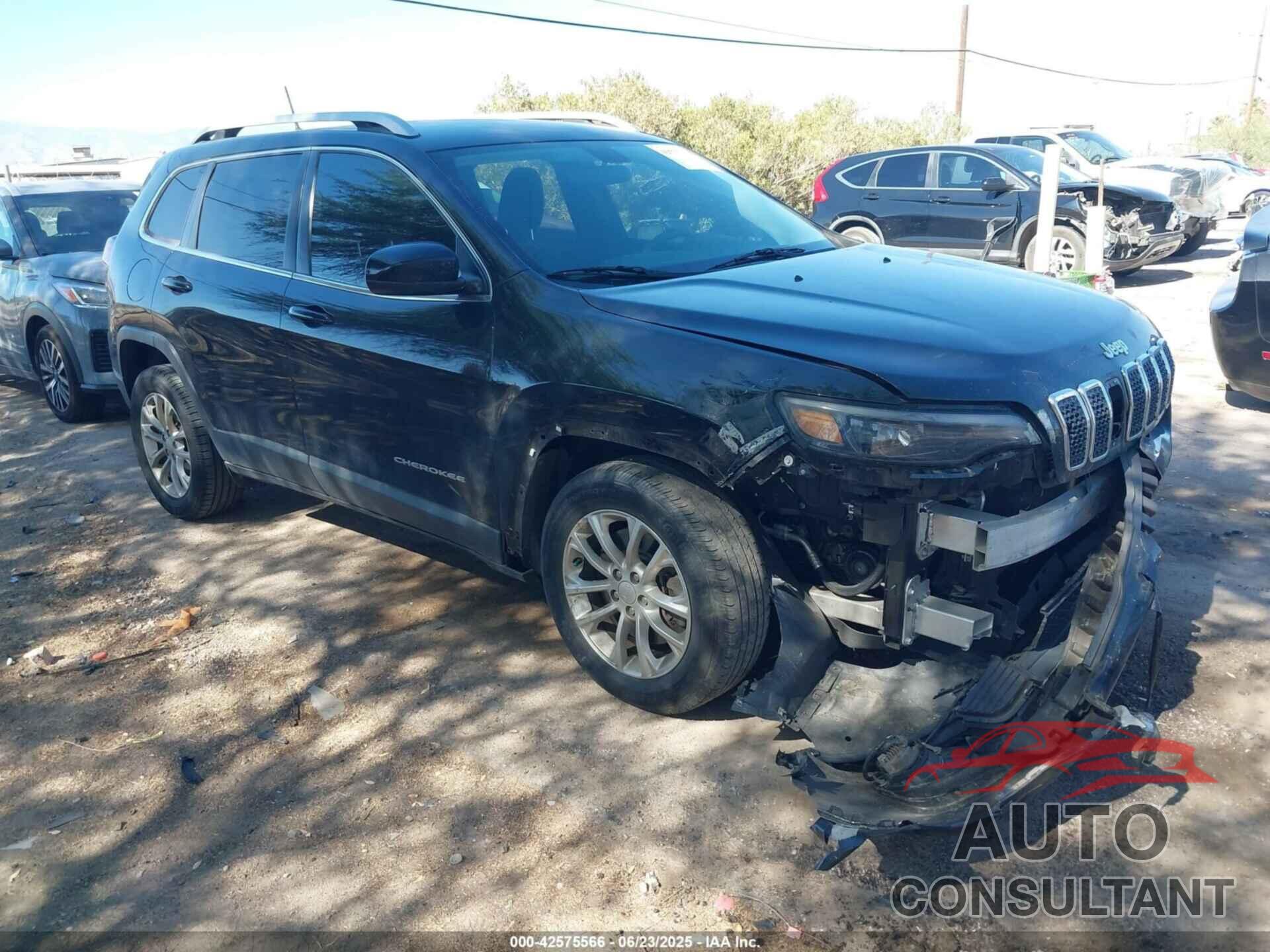 JEEP CHEROKEE 2019 - 1C4PJLCB9KD307446