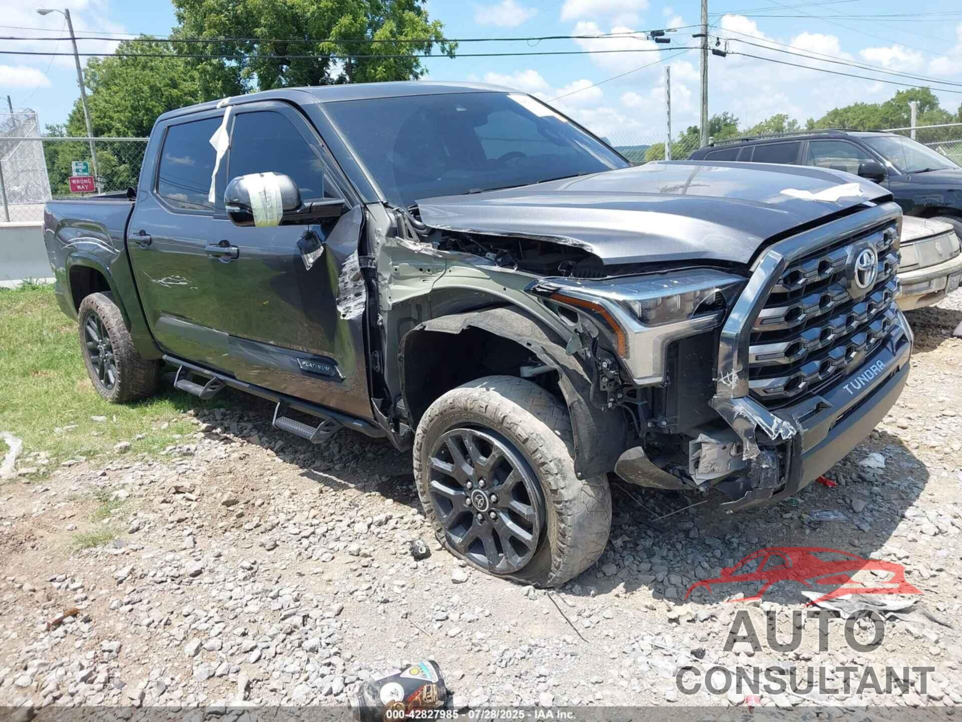 TOYOTA TUNDRA 2023 - 5TFNA5DB1PX092216