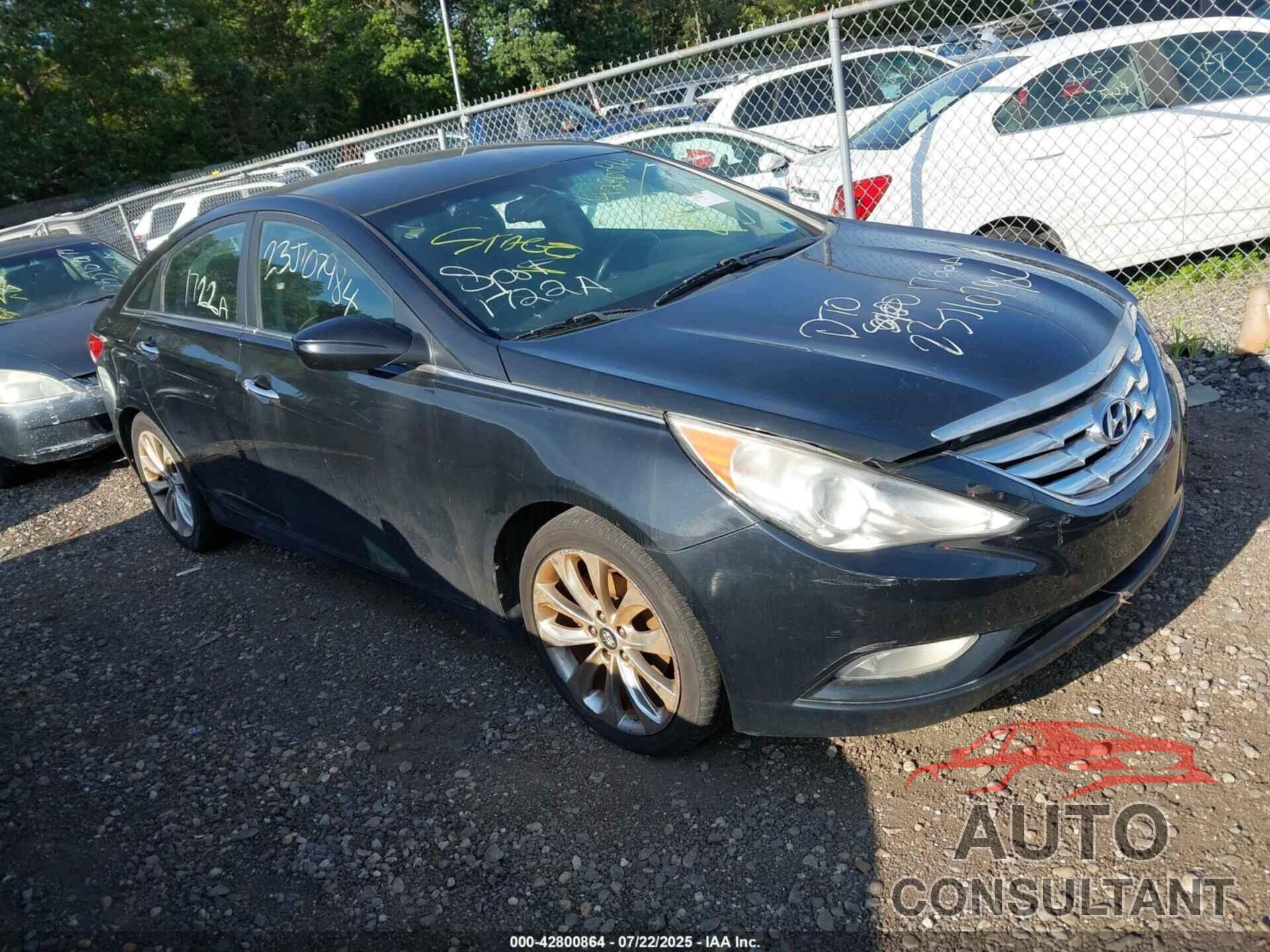 HYUNDAI SONATA 2013 - 5NPEC4AC4DH731519