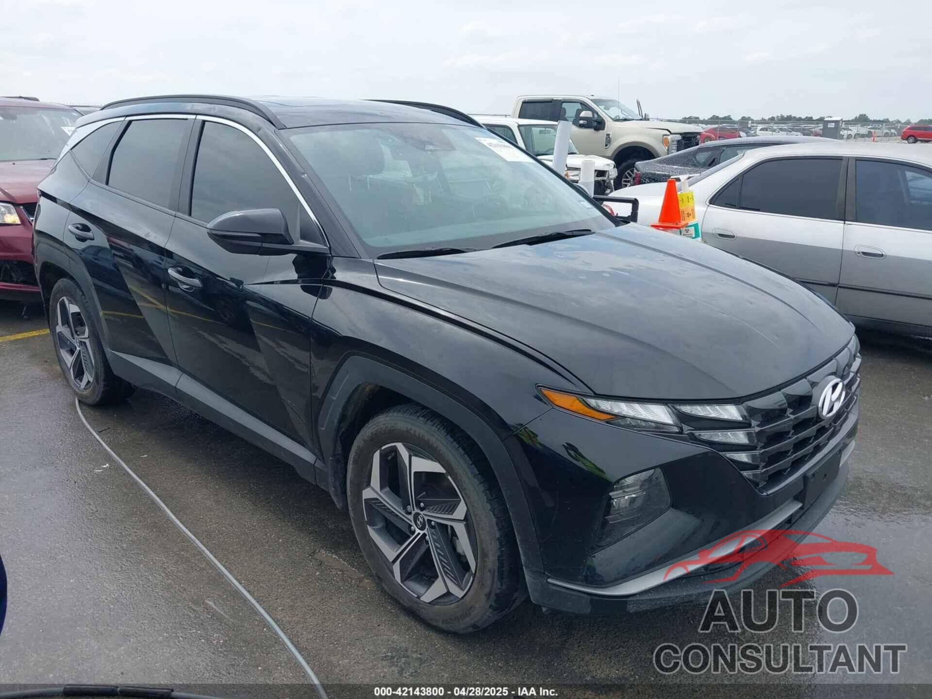 HYUNDAI TUCSON 2024 - 5NMJF3DE6RH401401