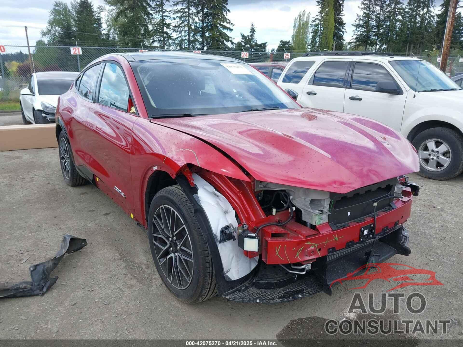 FORD MUSTANG MACH-E 2024 - 3FMTK3SU0RMA09652