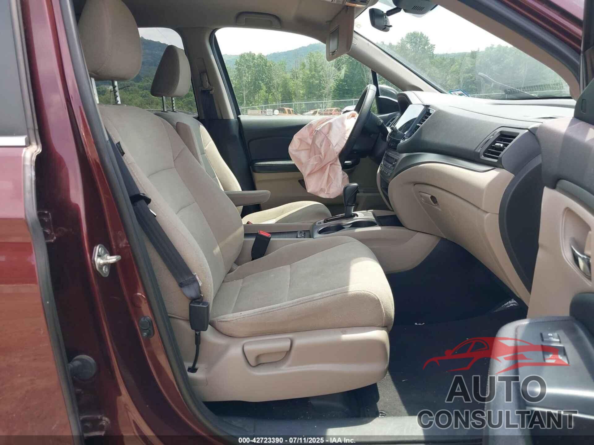 HONDA PILOT 2019 - 5FNYF6H36KB079911