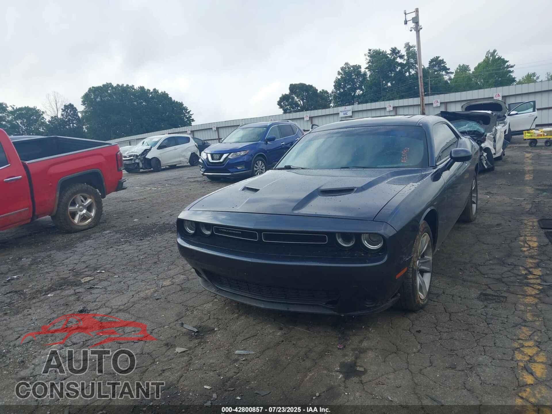 DODGE CHALLENGER 2019 - 2C3CDZAG9KH531752