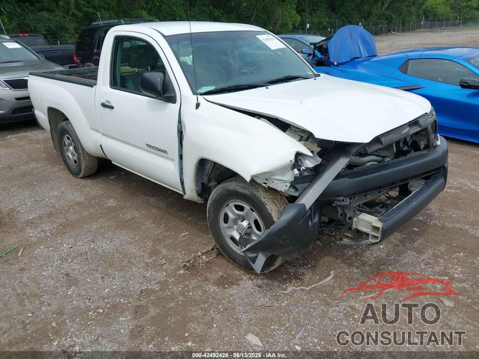 TOYOTA TACOMA 2009 - 5TENX22N09Z653480