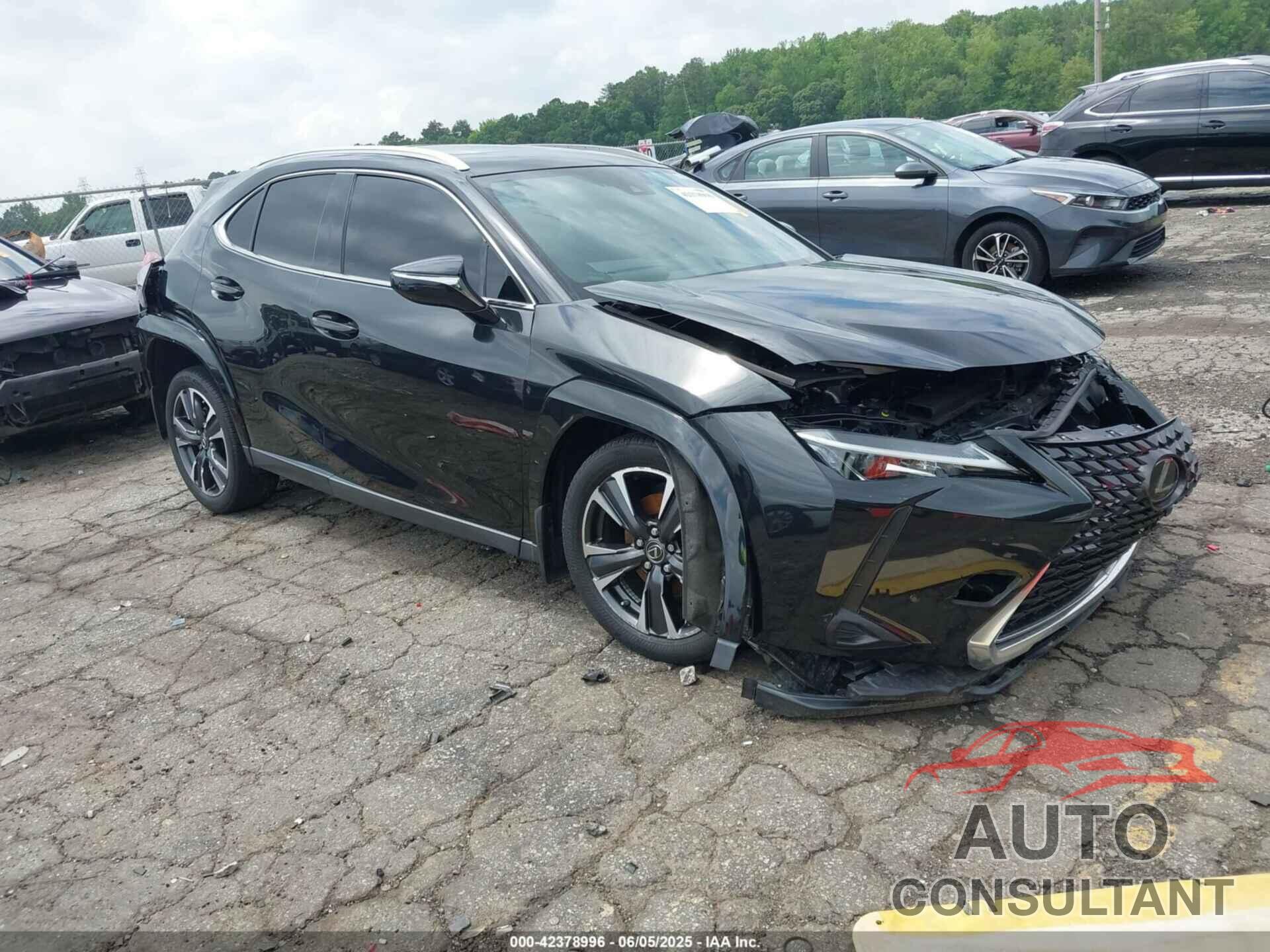 LEXUS UX 2022 - JTHP3JBHXN2046587