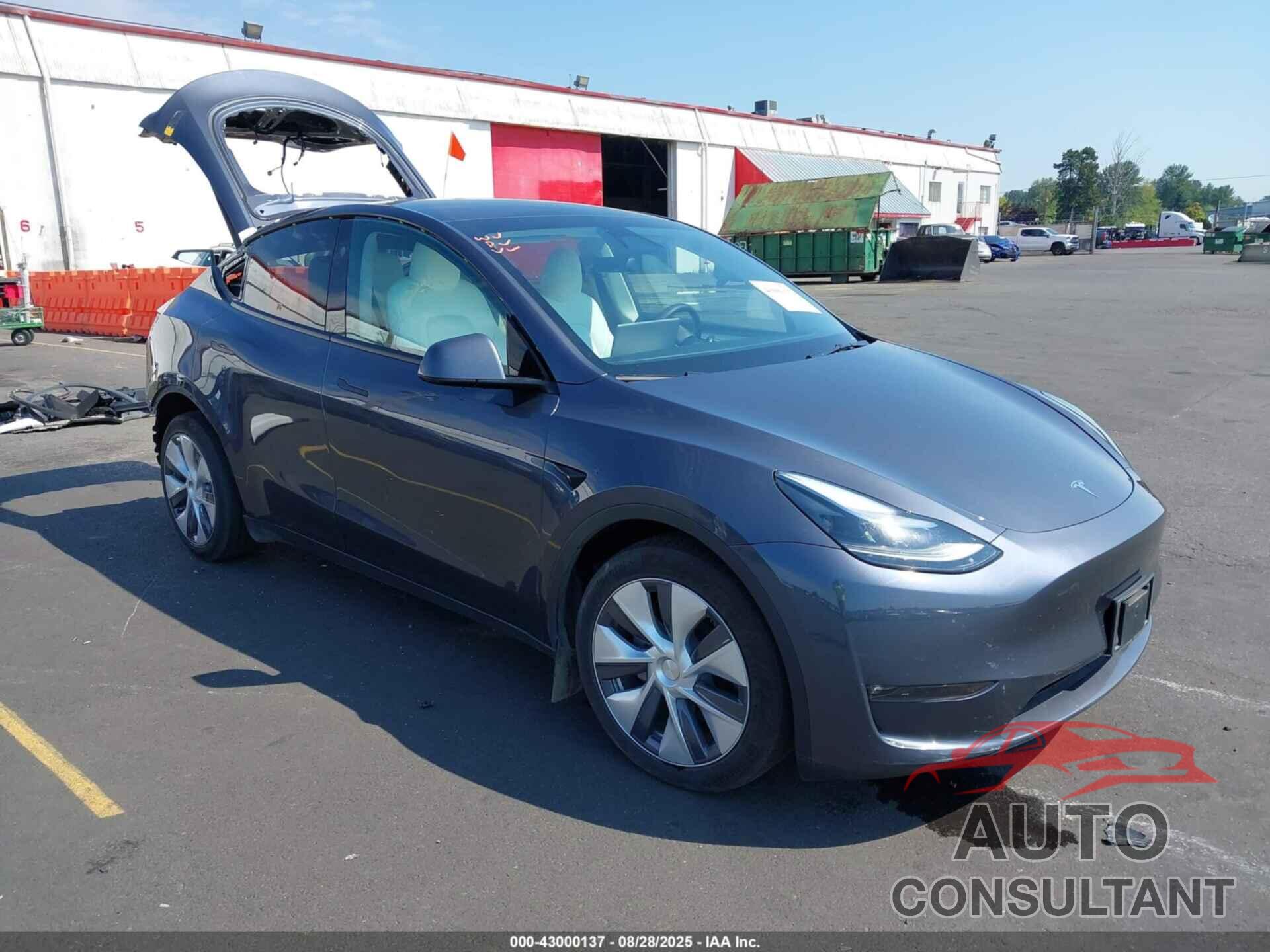 TESLA MODEL Y 2023 - 7SAYGAEE5PF925445