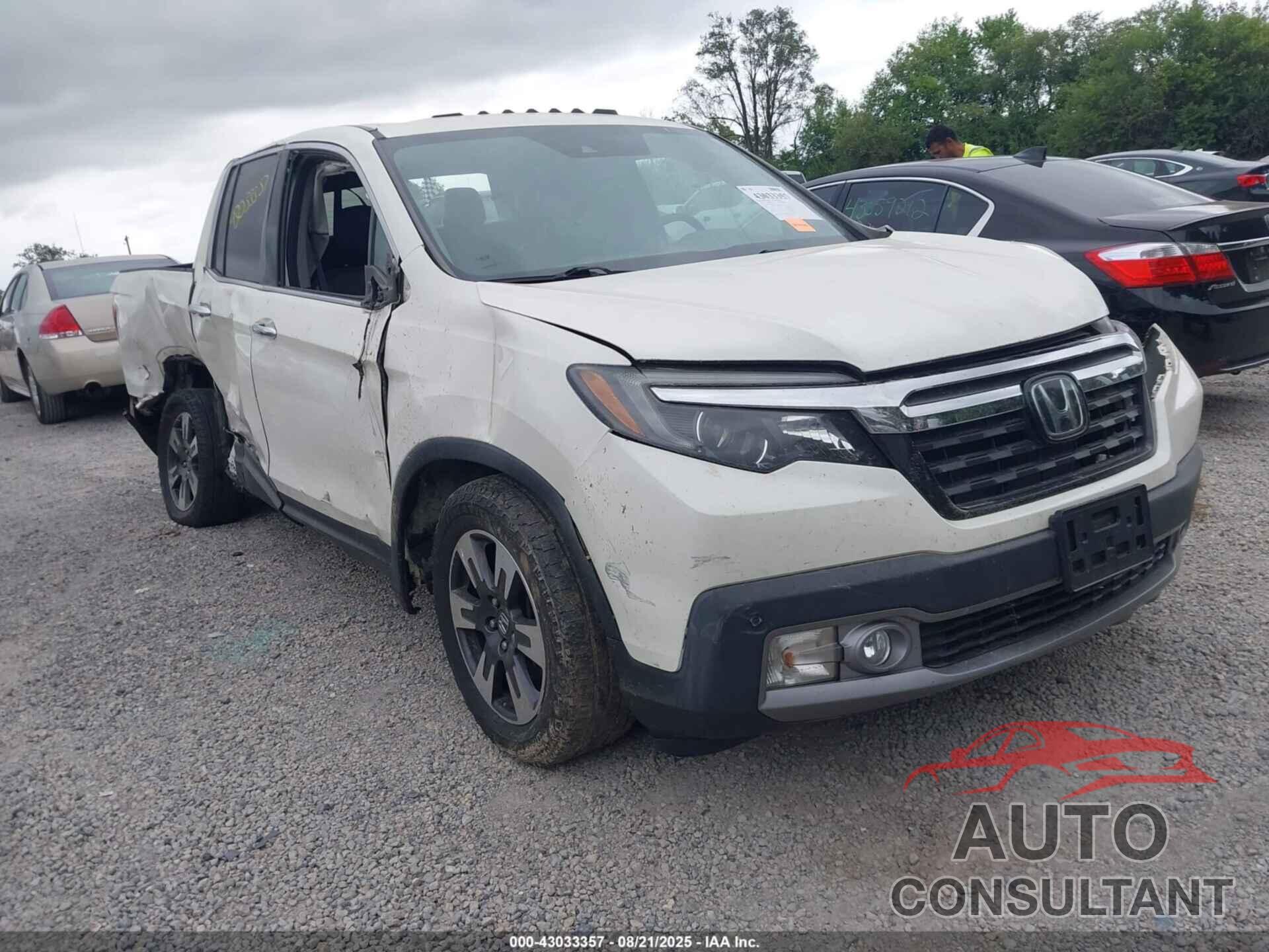 HONDA RIDGELINE 2019 - 5FPYK3F76KB033678