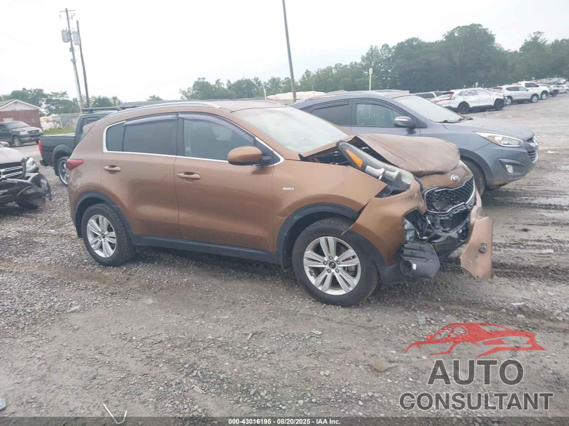 KIA SPORTAGE 2017 - KNDPMCAC2H7287924
