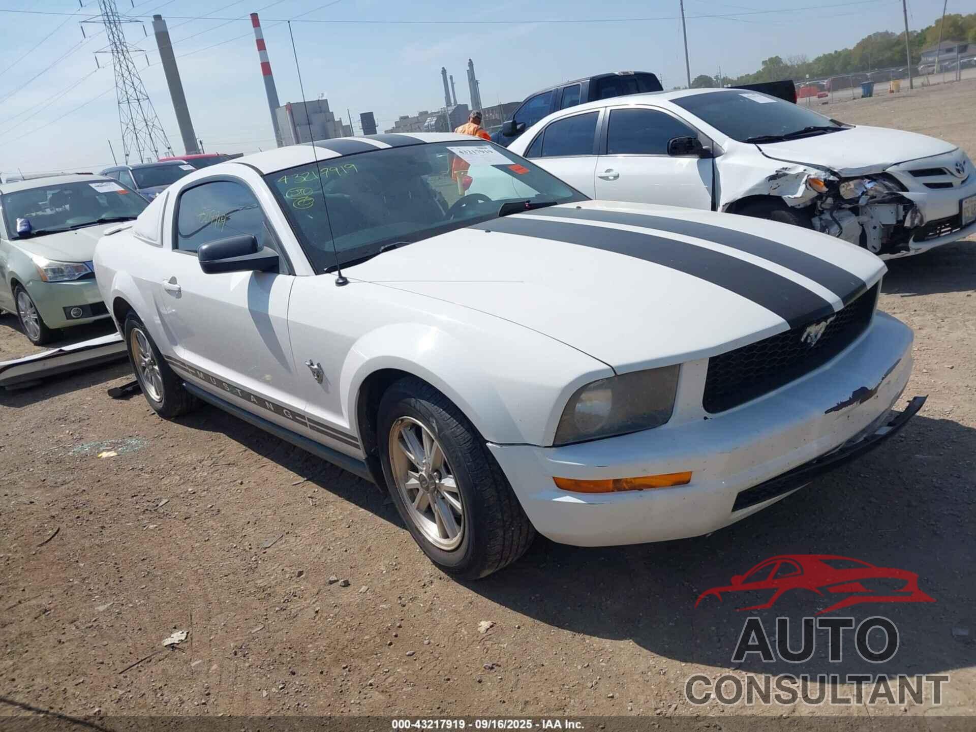 FORD MUSTANG 2009 - 1ZVHT80N795138829