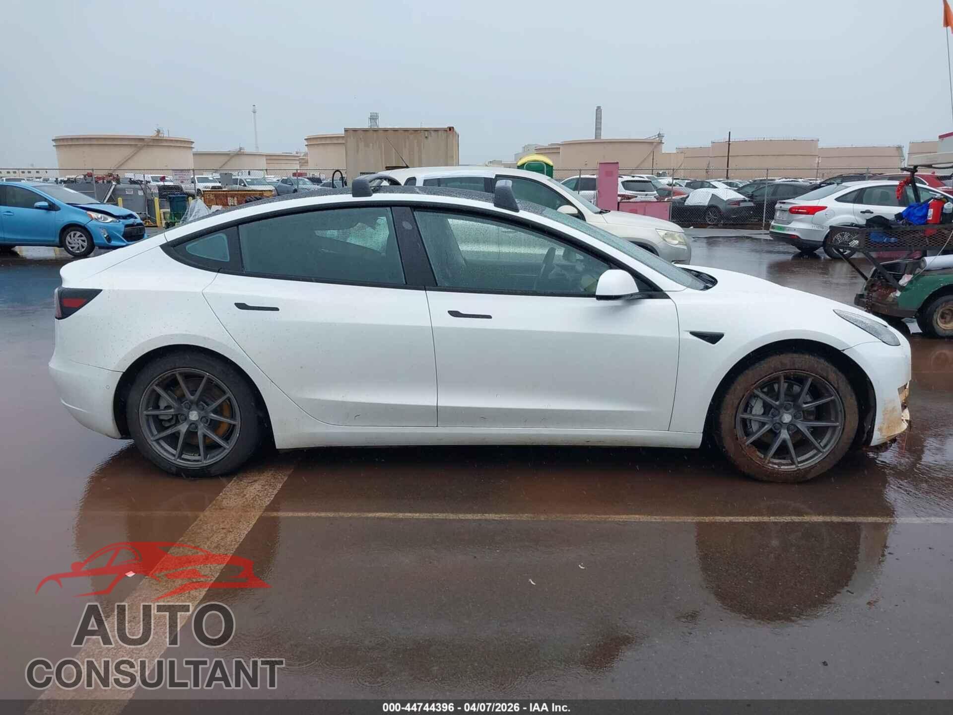 TESLA MODEL 3 2021 - 5YJ3E1EA2MF976813