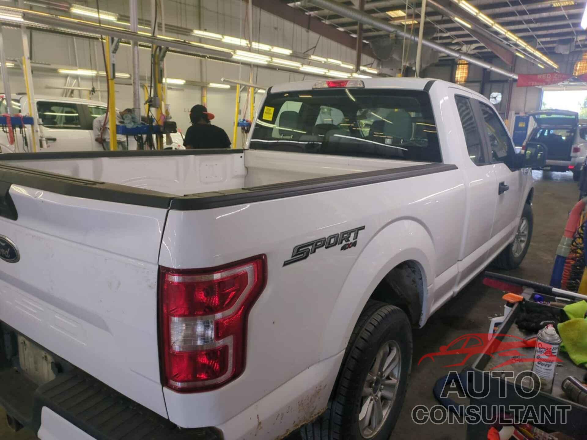 FORD F150 2019 - 1FTFX1E5XKKD16304