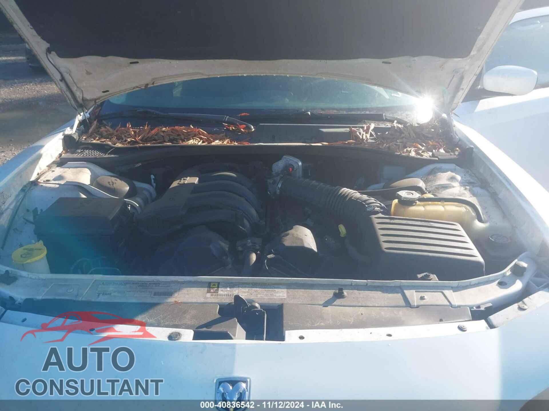 DODGE CHARGER 2010 - 2B3CA4CD7AH305896