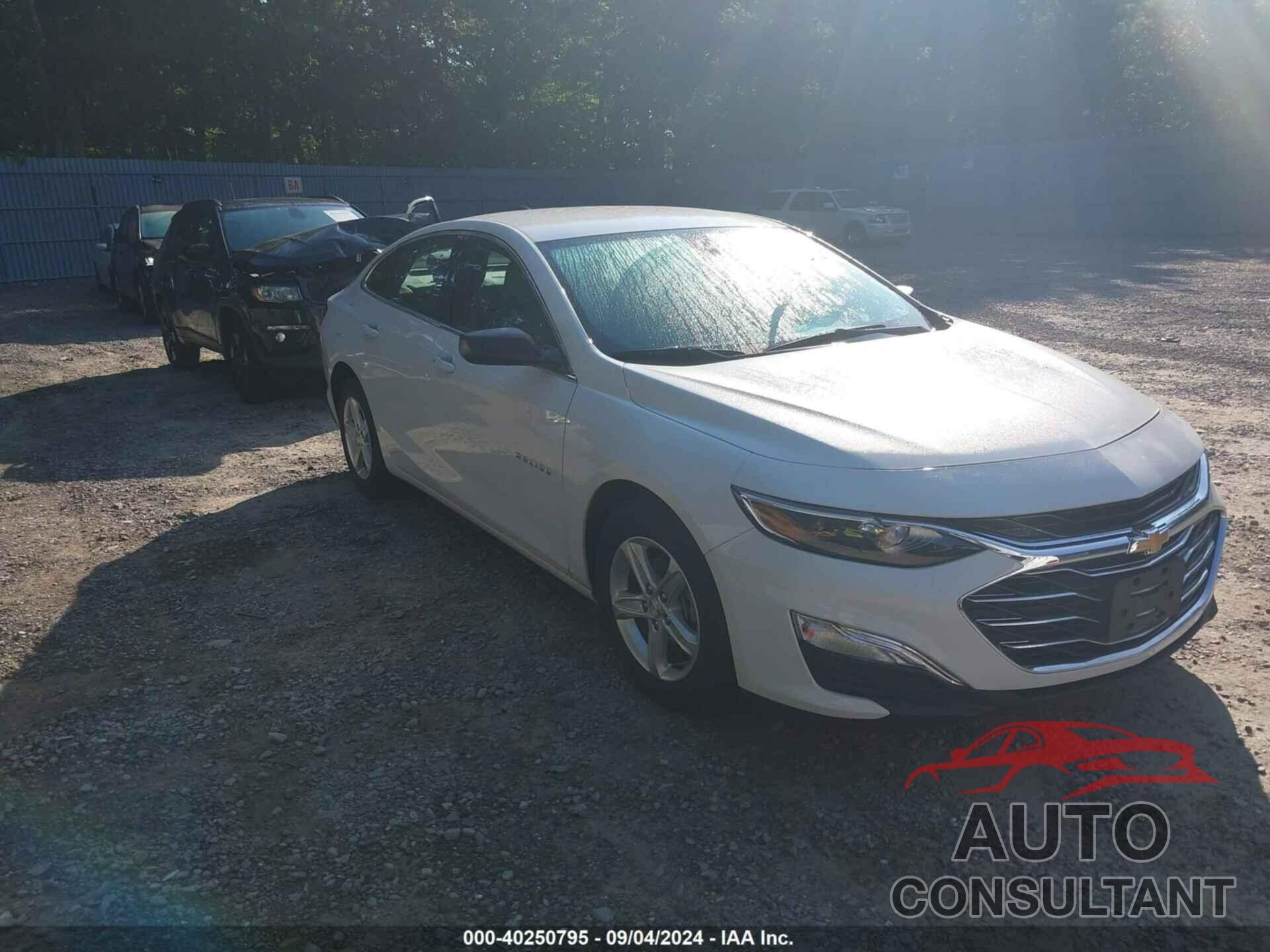 CHEVROLET MALIBU 2020 - 1G1ZB5ST8LF156979