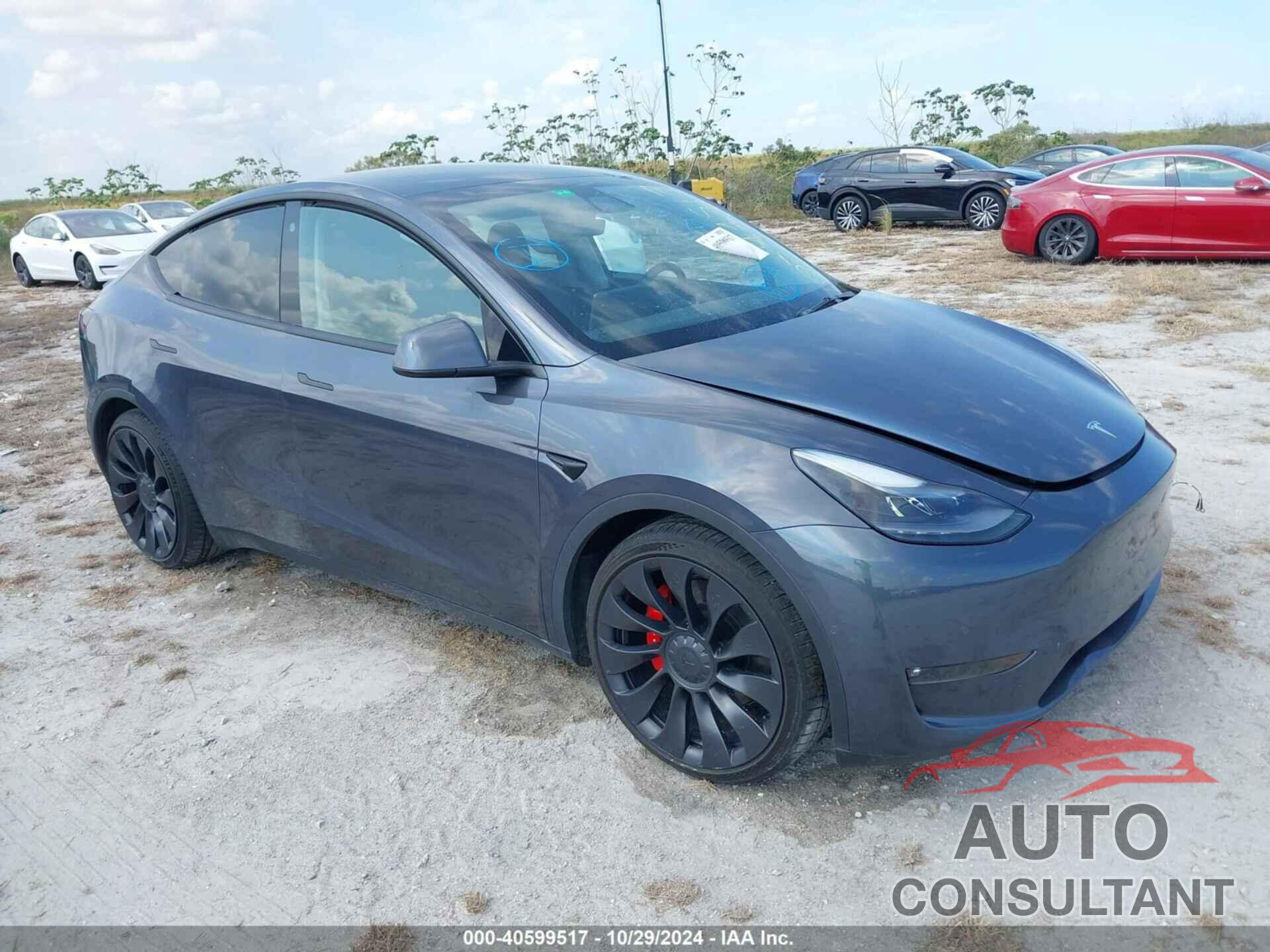 TESLA MODEL Y 2022 - 7SAYGDEF8NF375505