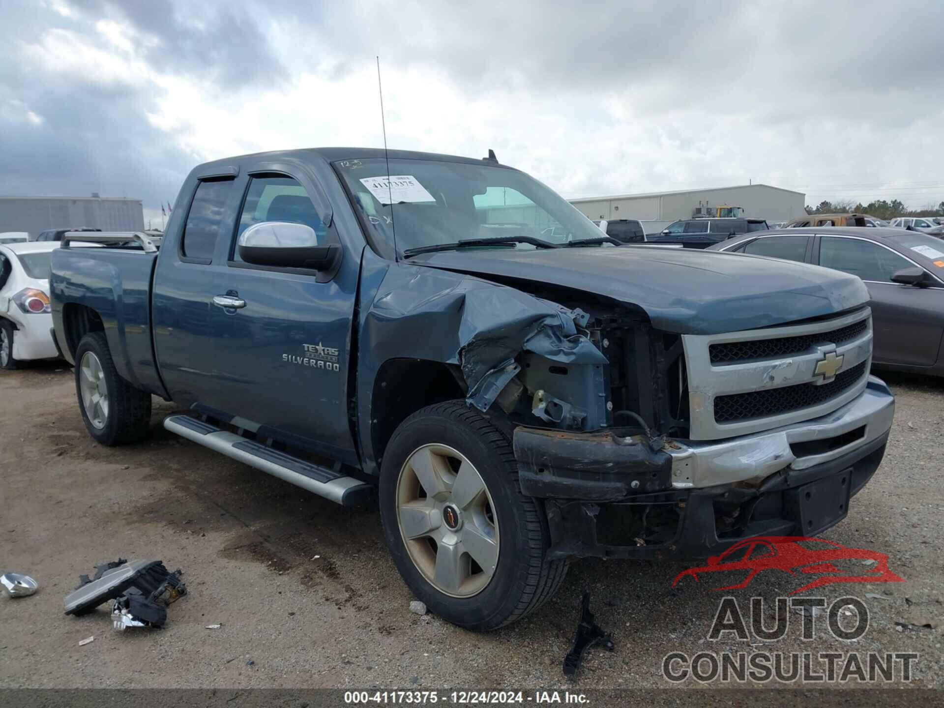 CHEVROLET SILVERADO 1500 2009 - 1GCEC29J79Z291576