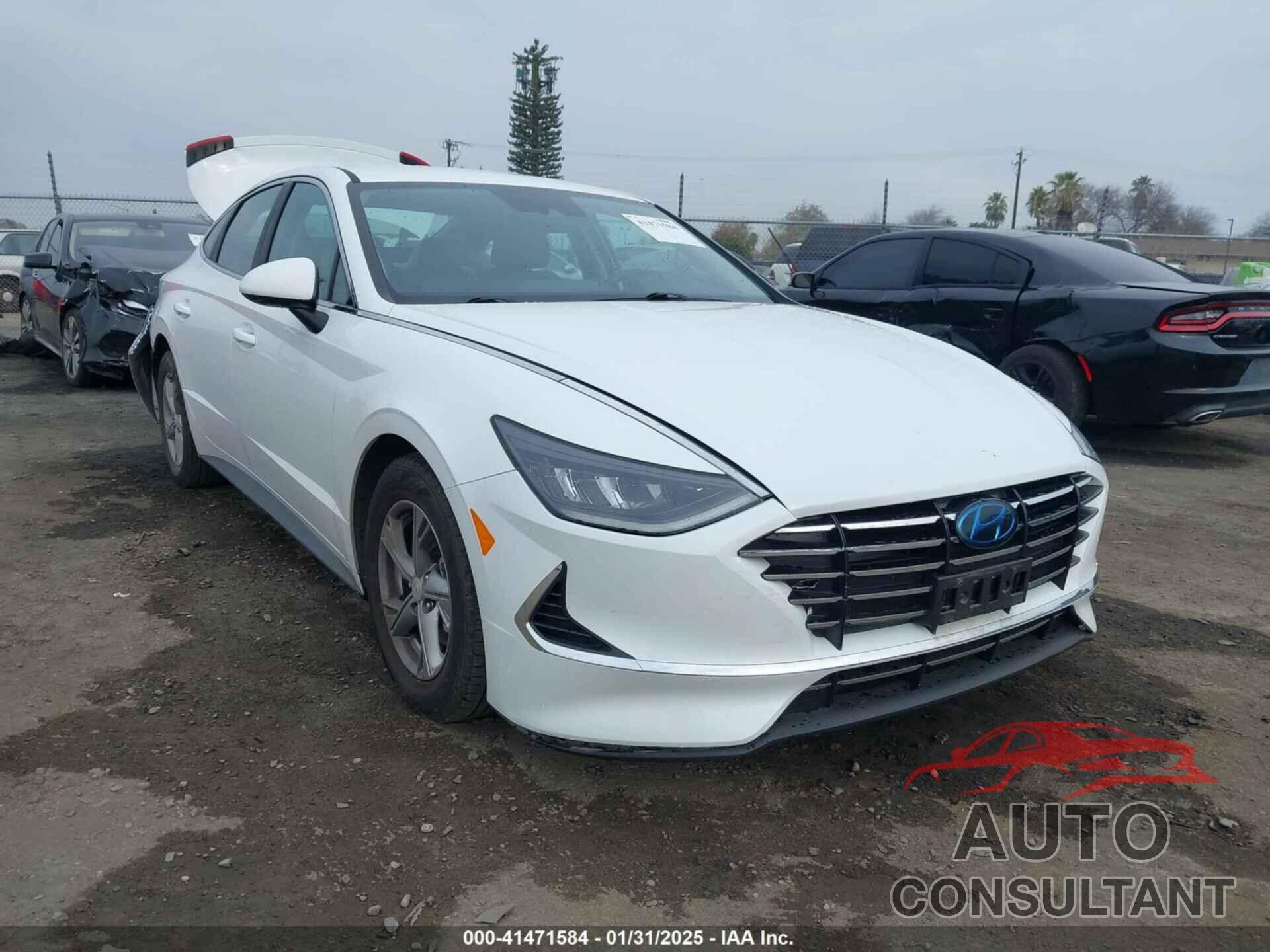 HYUNDAI SONATA 2020 - 5NPEG4JA4LH001661