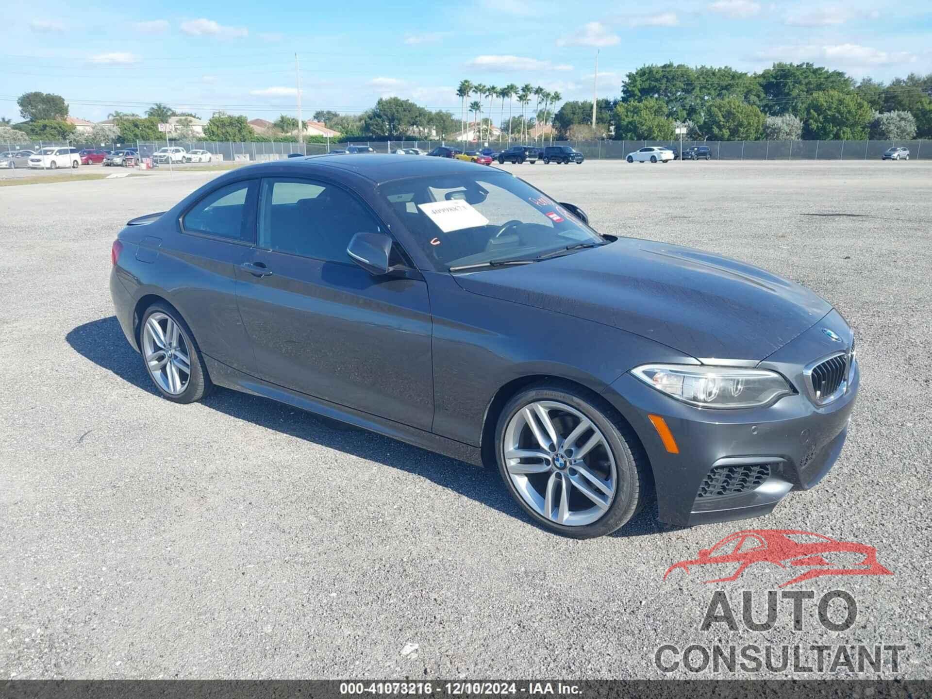 BMW 228I 2016 - WBA1F9C54GV544980