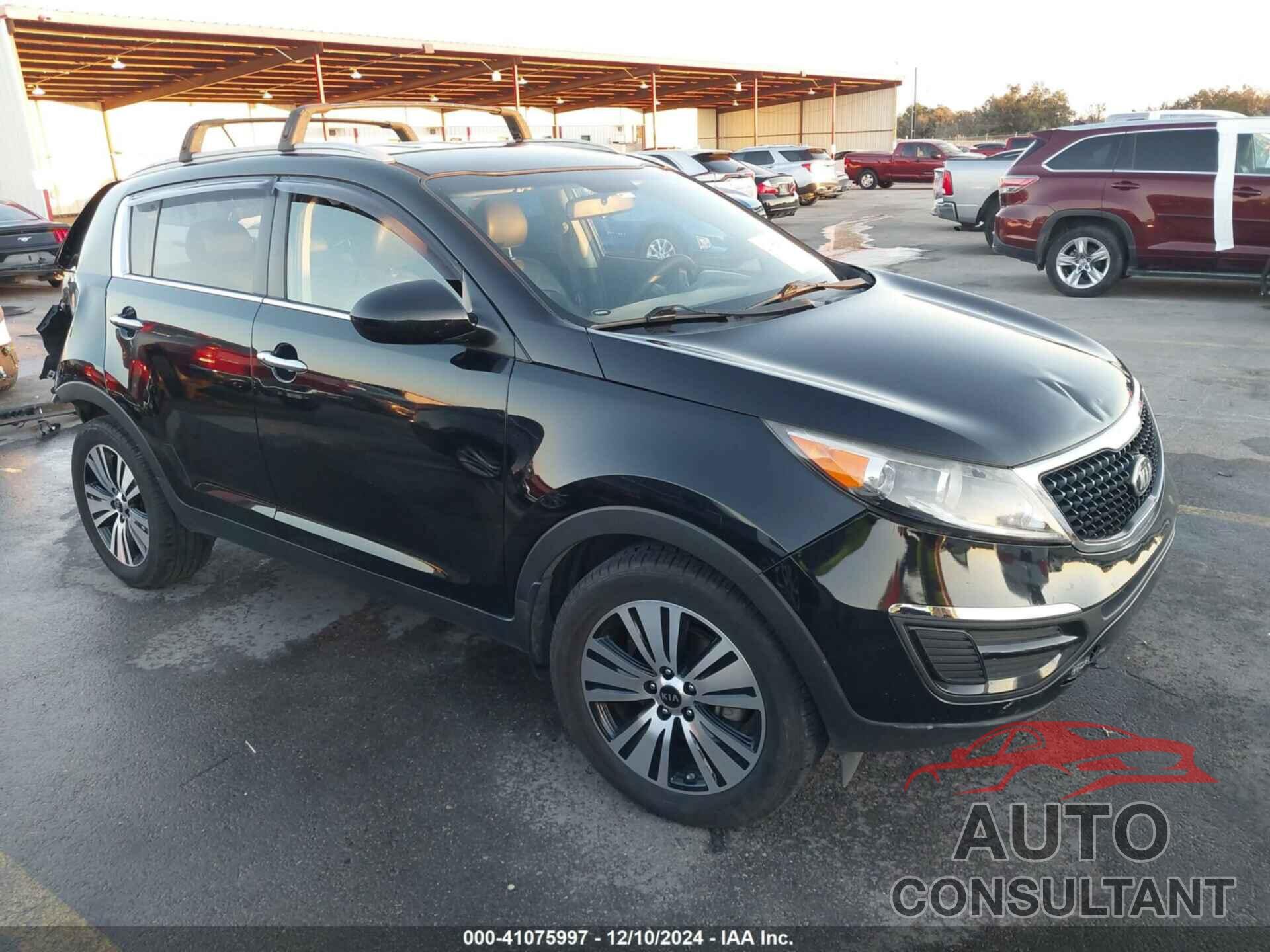 KIA SPORTAGE 2016 - KNDPC3AC5G7814520