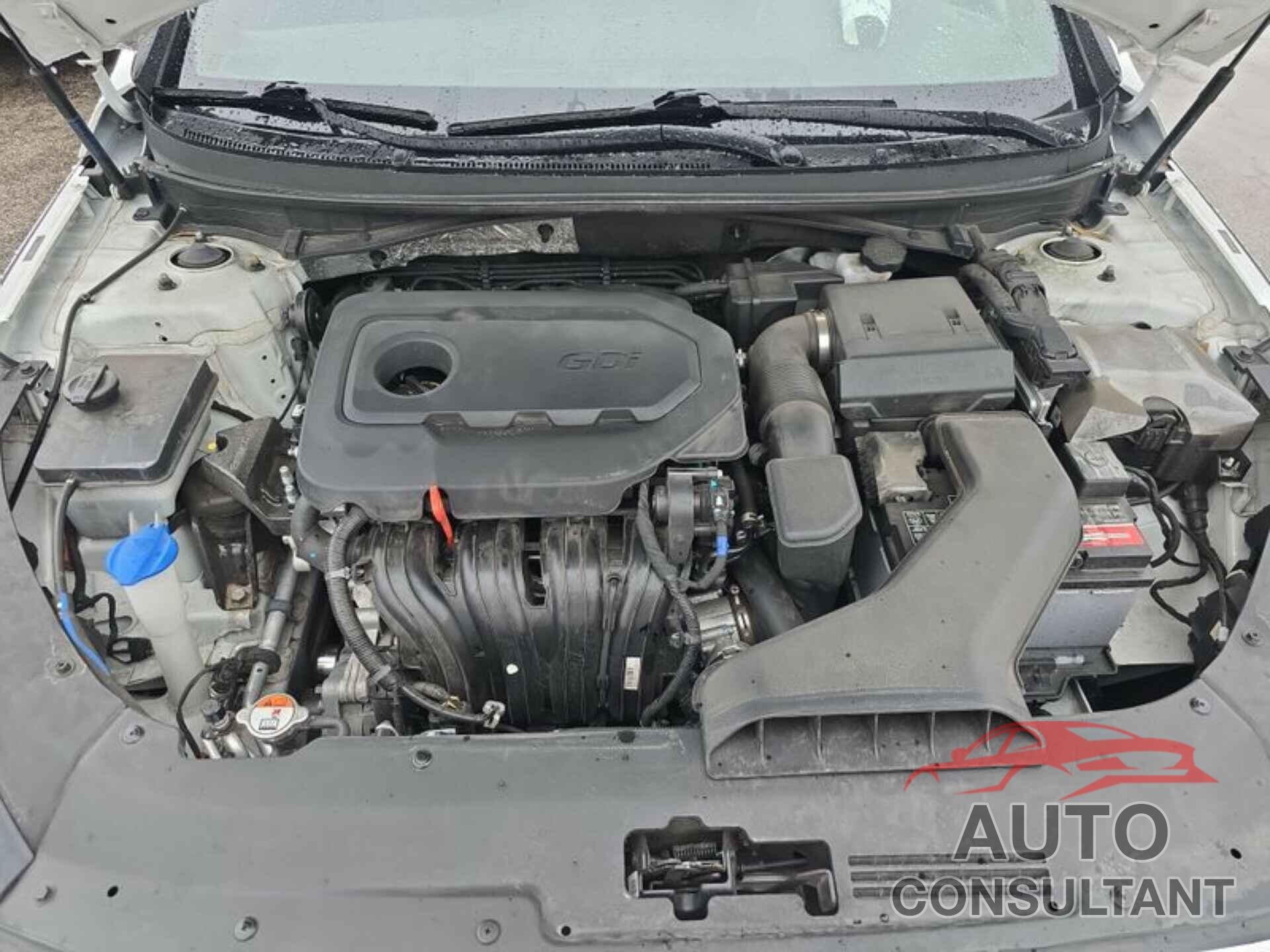 HYUNDAI SONATA 2019 - 5NPE34AF2KH780810