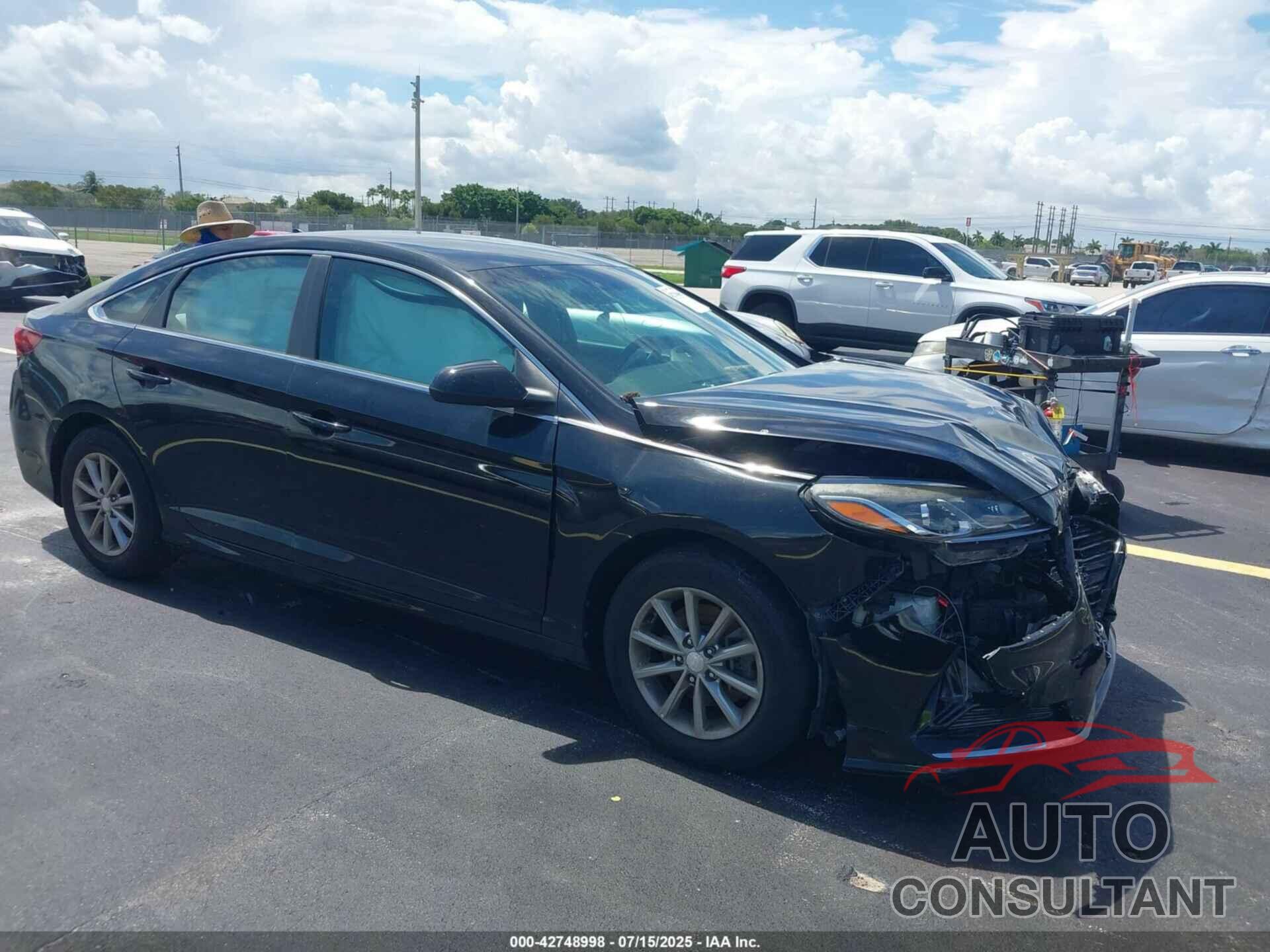 HYUNDAI SONATA 2019 - 5NPE24AF7KH745182