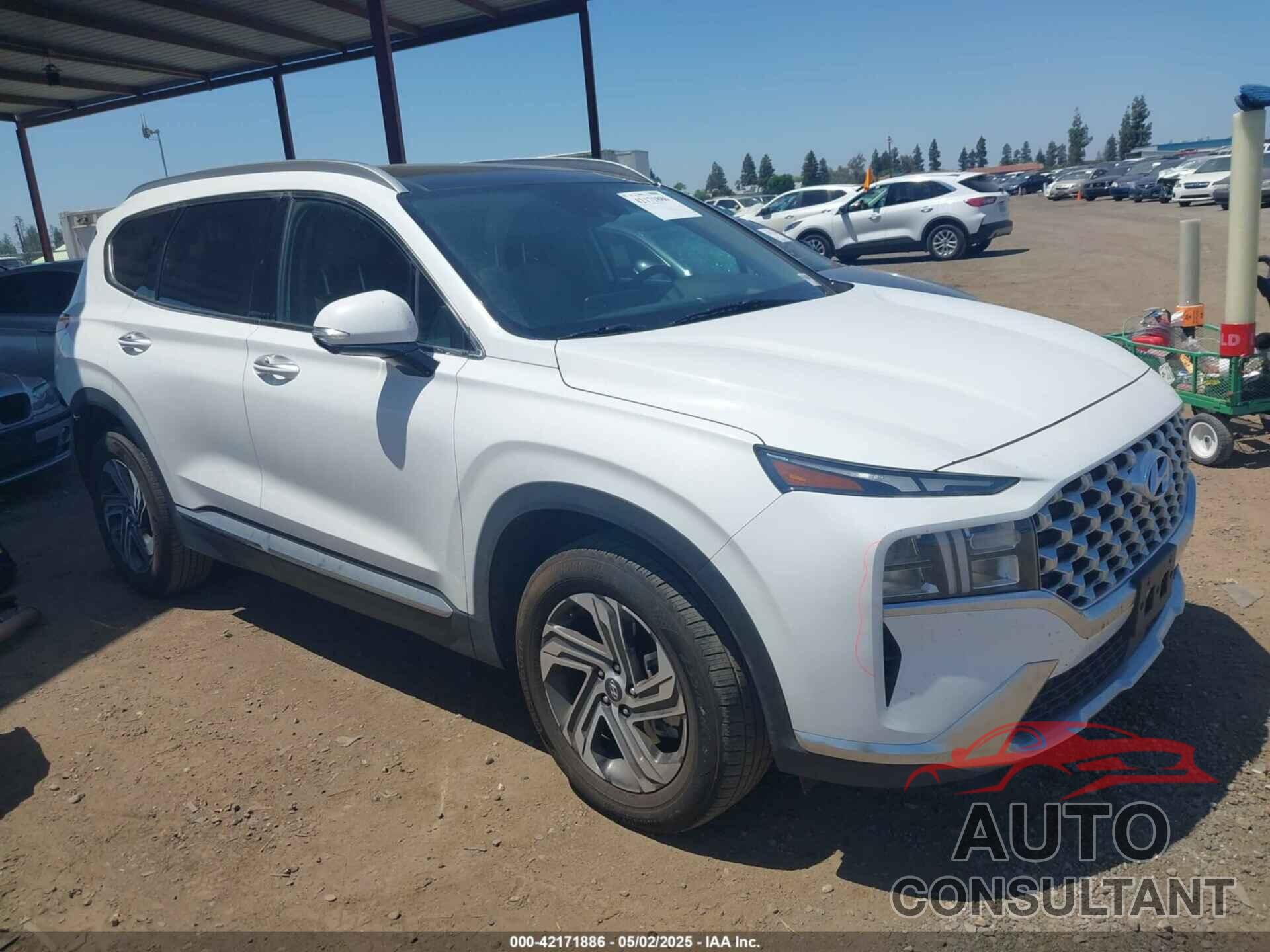 HYUNDAI SANTA FE 2023 - 5NMS34AJ9PH514504