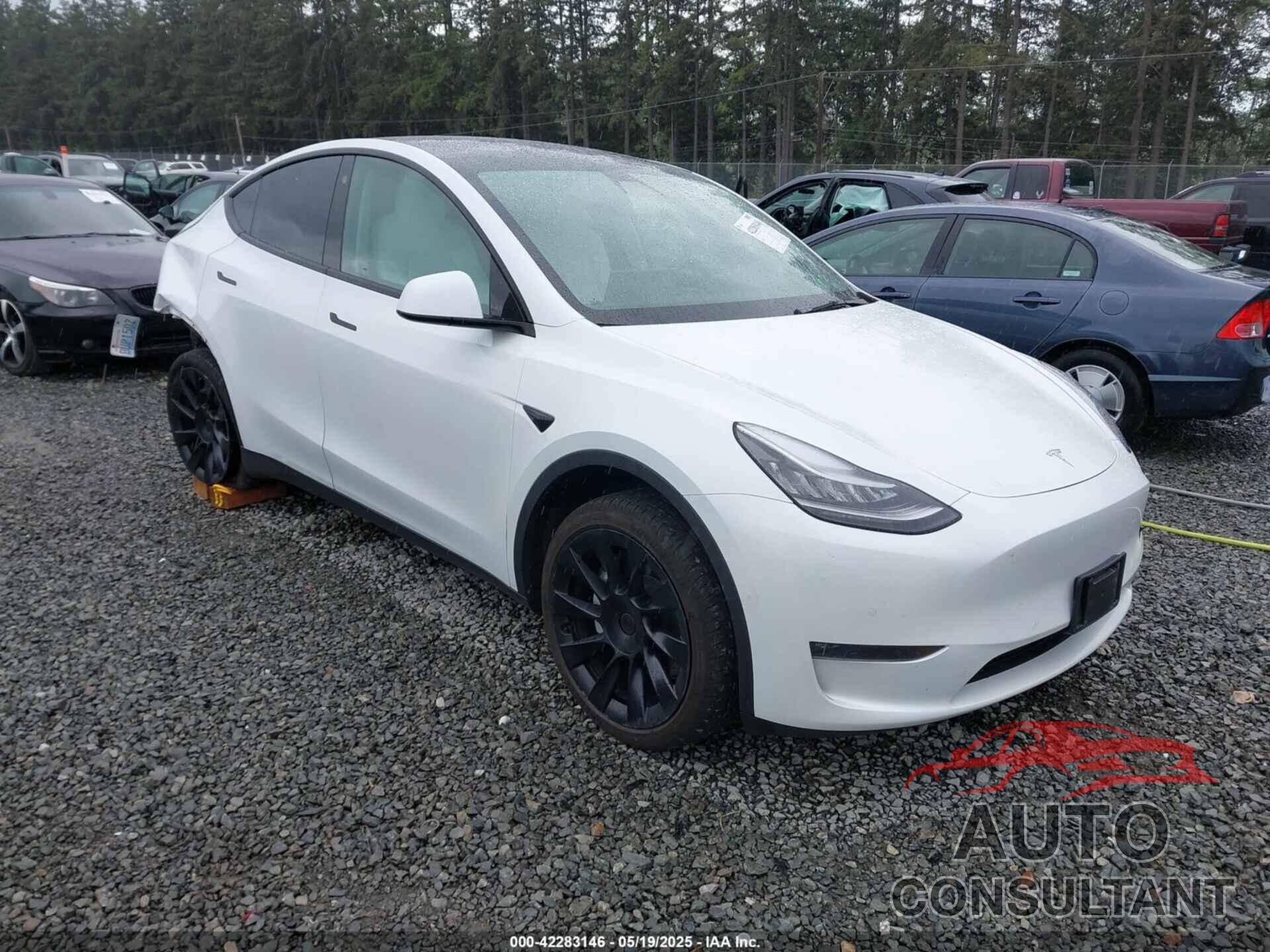 TESLA MODEL Y 2021 - 5YJYGDEE5MF095771