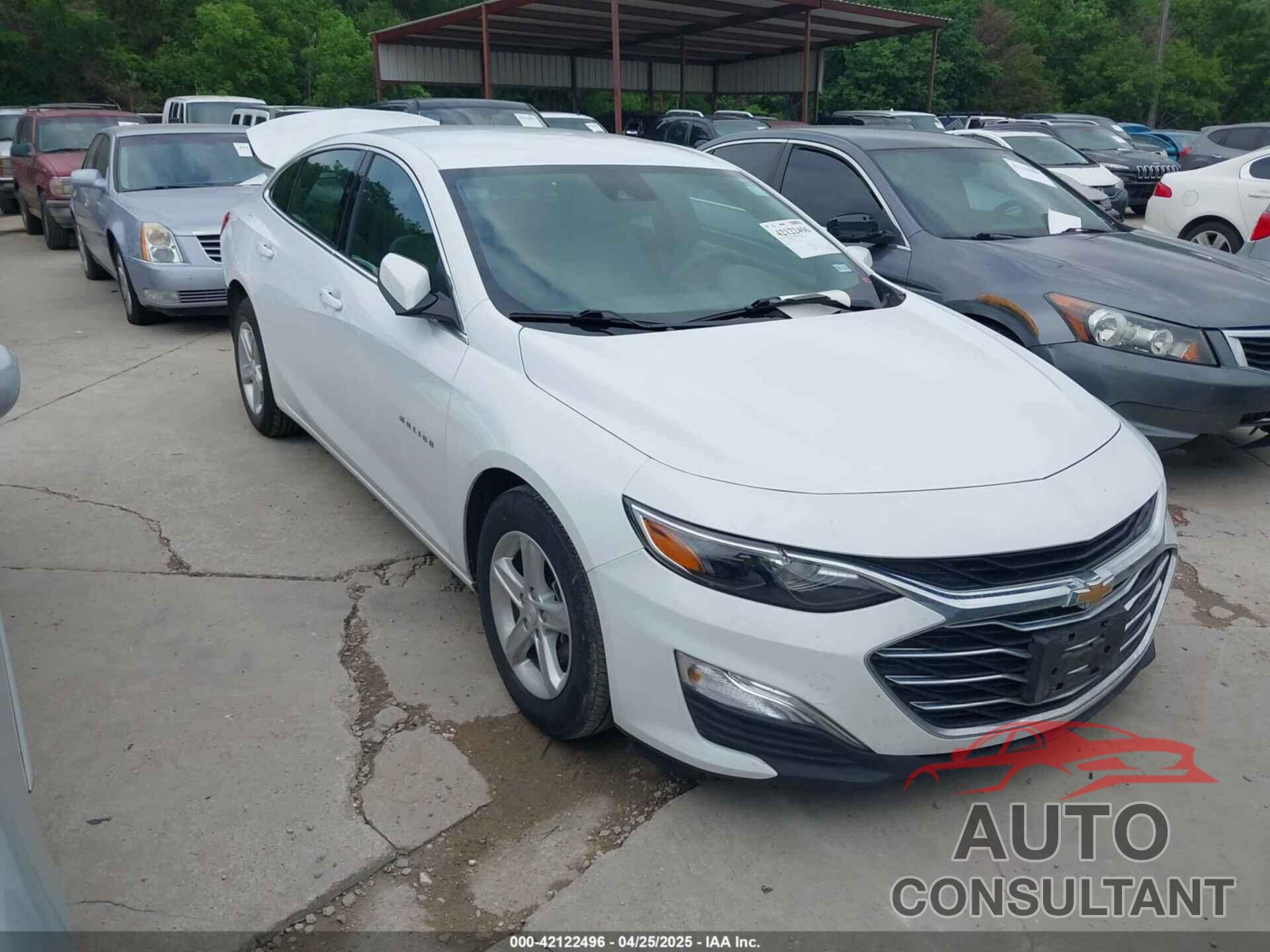 CHEVROLET MALIBU 2024 - 1G1ZC5STXRF122502