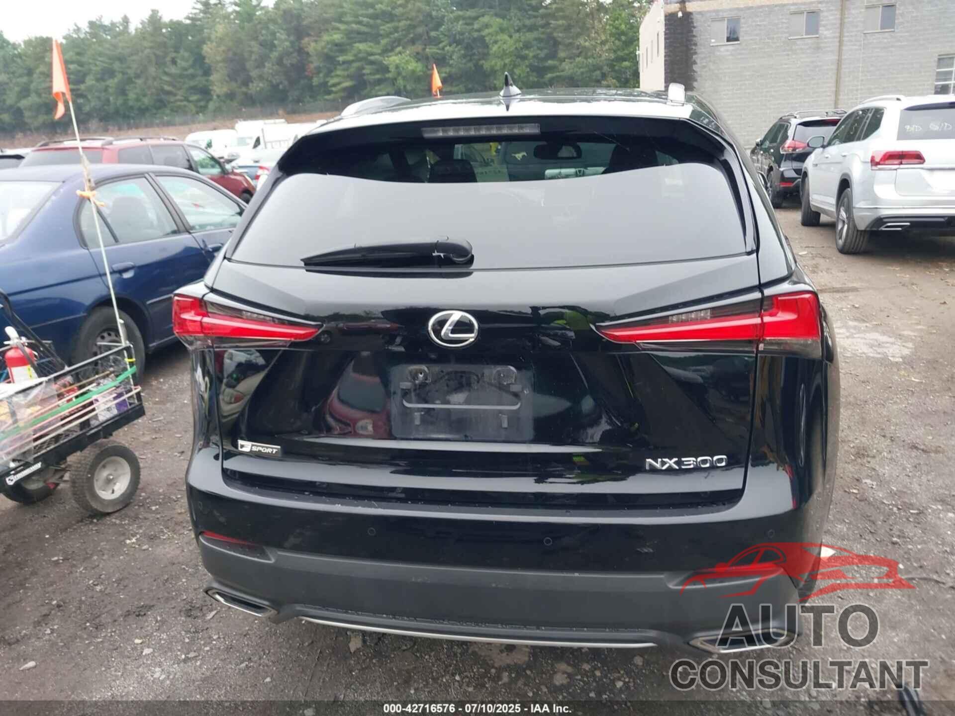 LEXUS NX 300 2020 - JTJSARDZ9L5008931