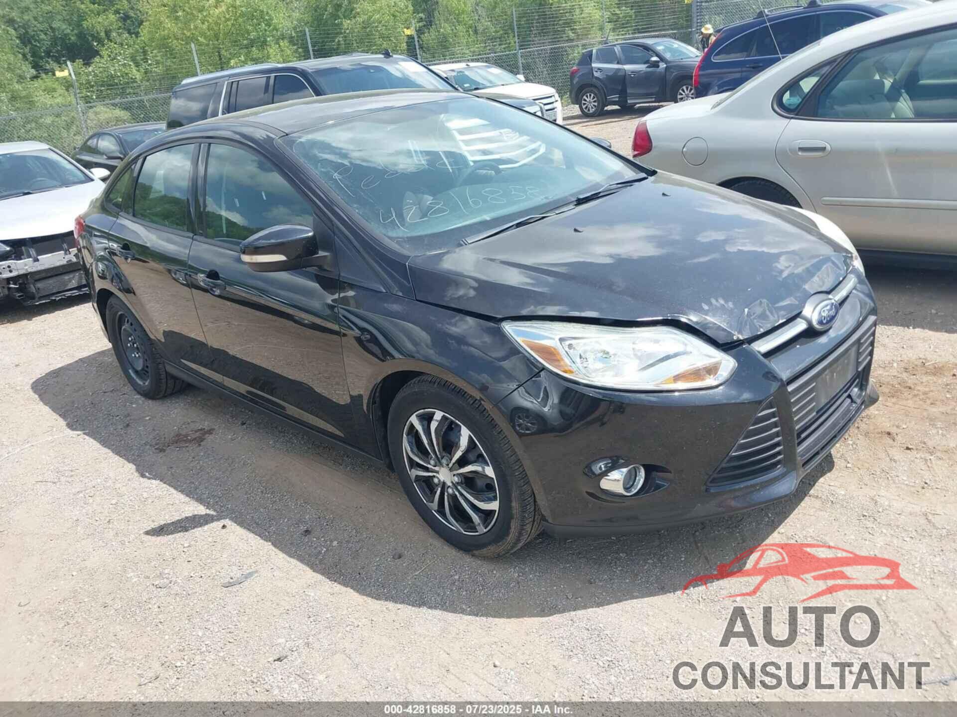 FORD FOCUS 2012 - 1FAHP3F22CL420926