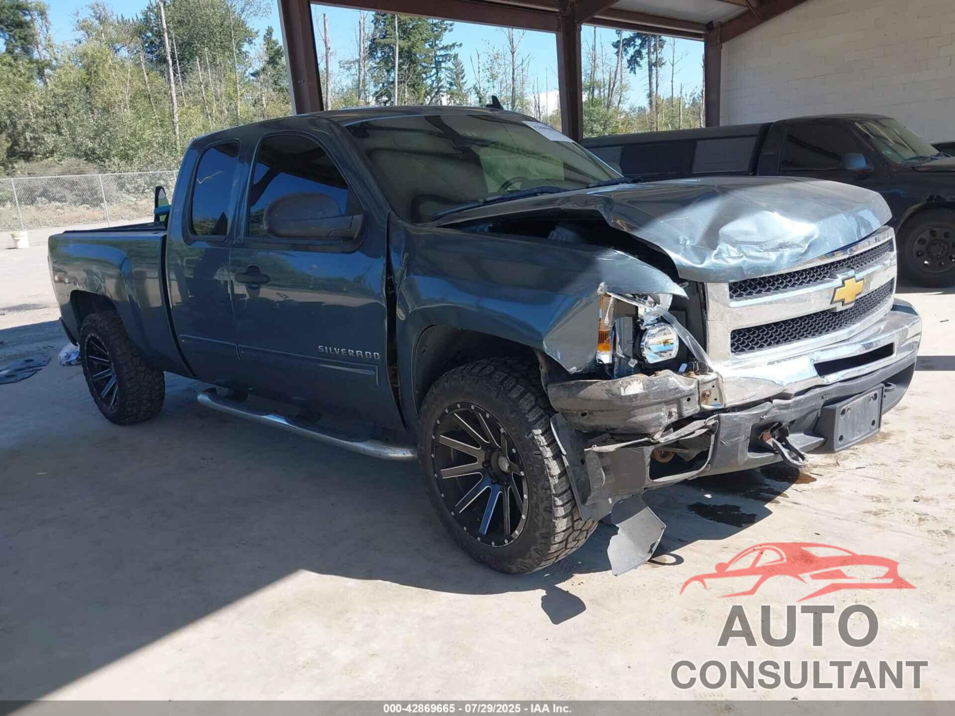 CHEVROLET SILVERADO 1500 2009 - 1GCEK29079Z285853
