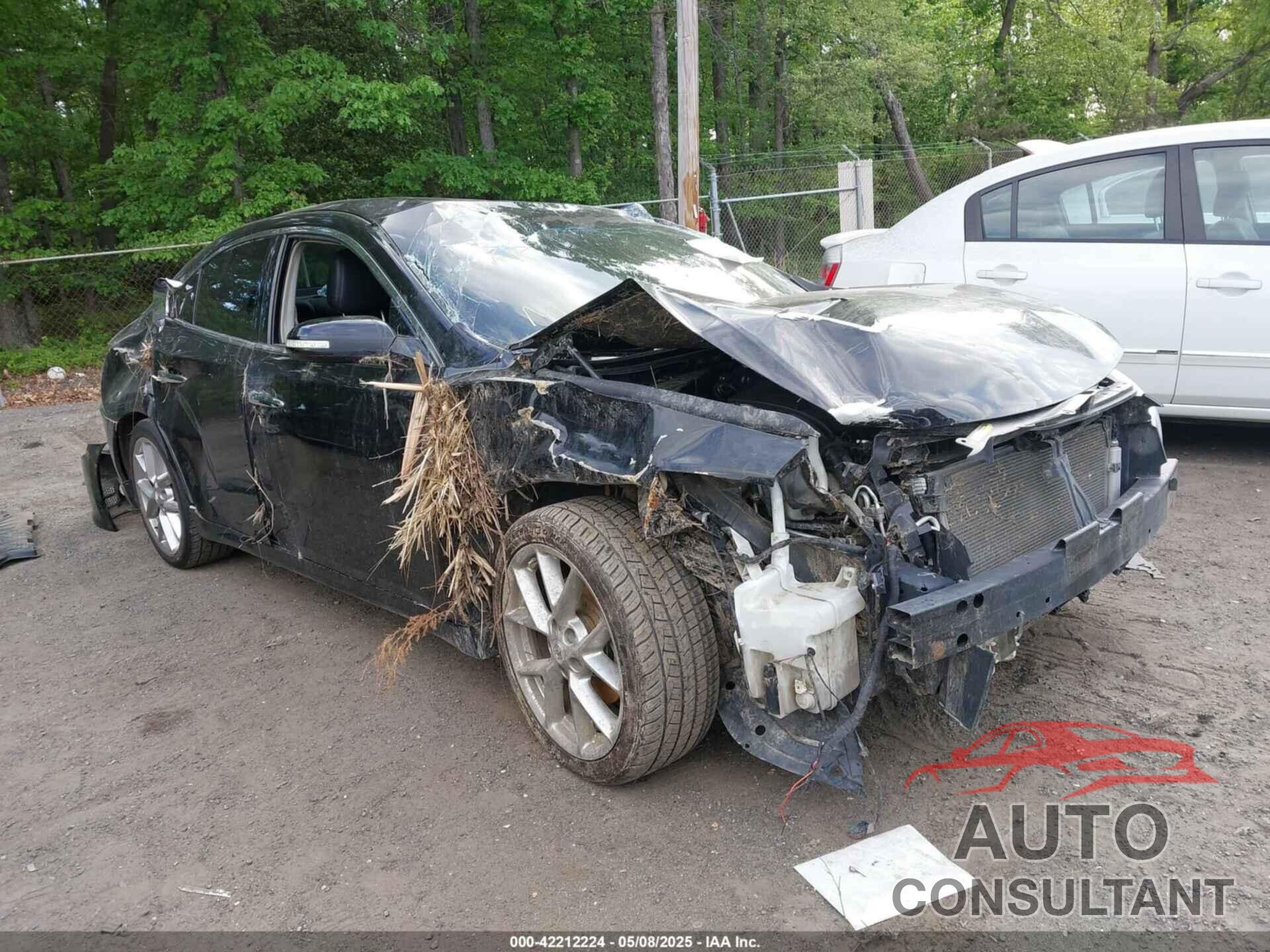 NISSAN MAXIMA 2010 - 1N4AA5AP9AC835496