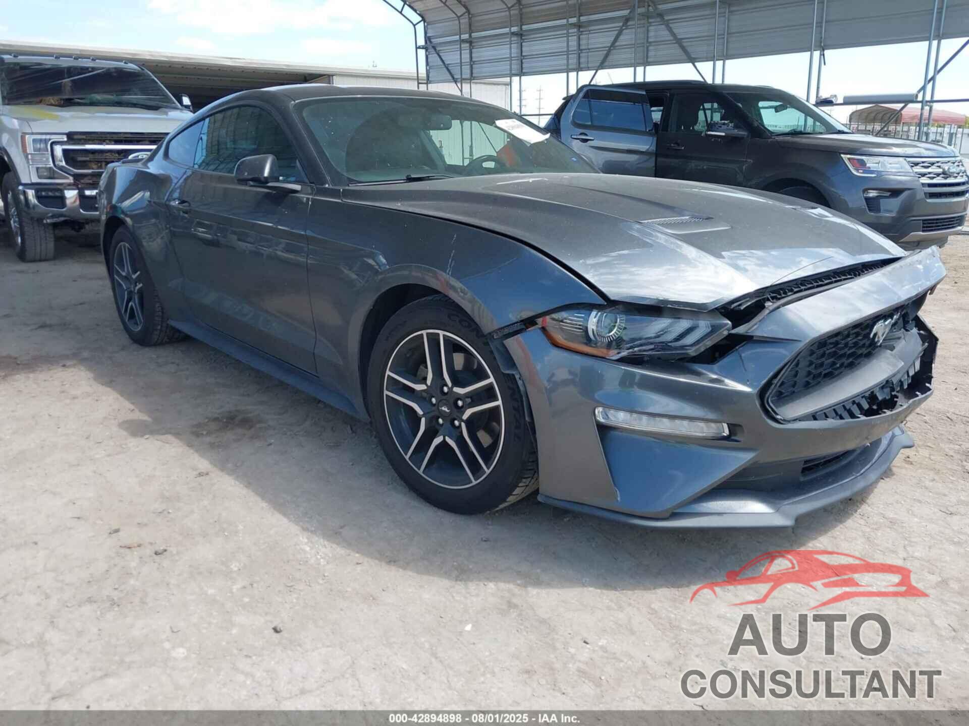 FORD MUSTANG 2019 - 1FA6P8TH8K5168597