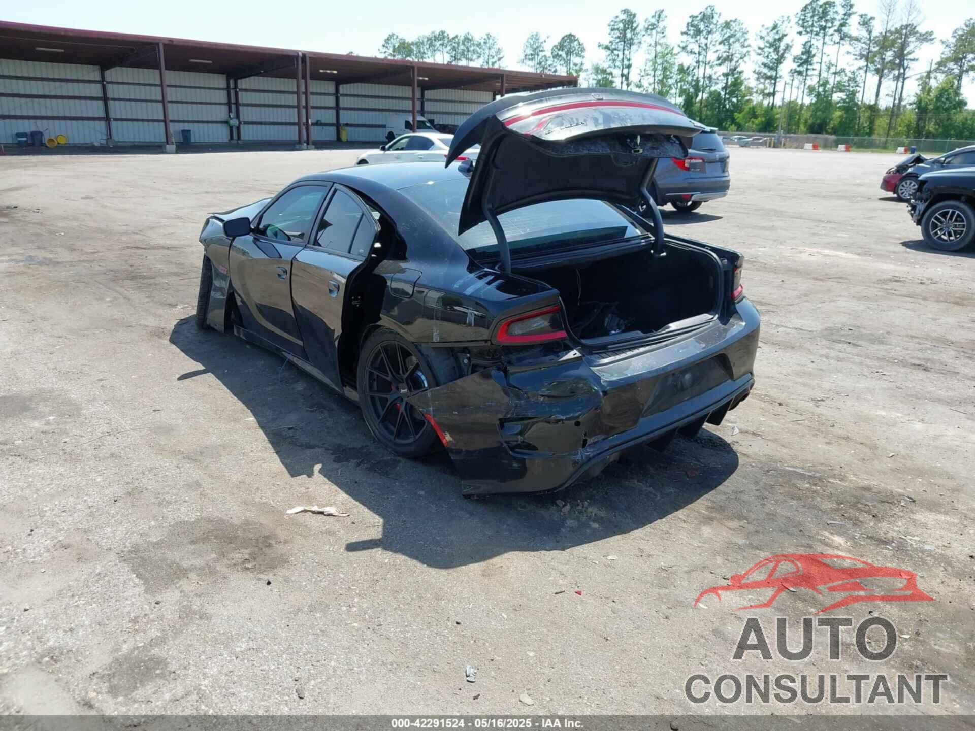 DODGE CHARGER 2017 - 2C3CDXGJ6HH607959