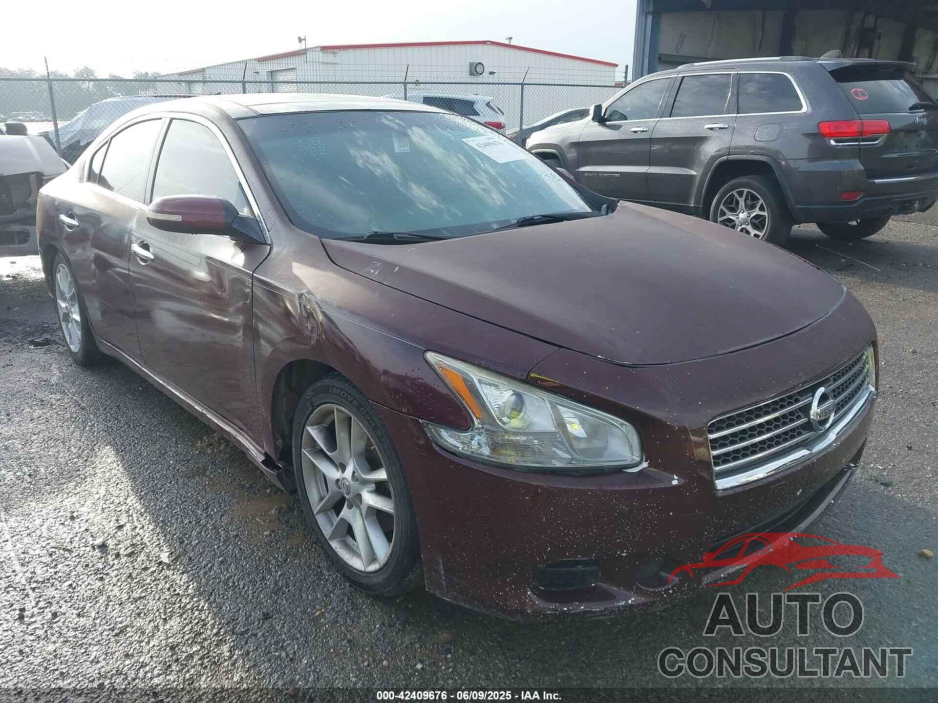 NISSAN MAXIMA 2009 - 1N4AA51E39C816713