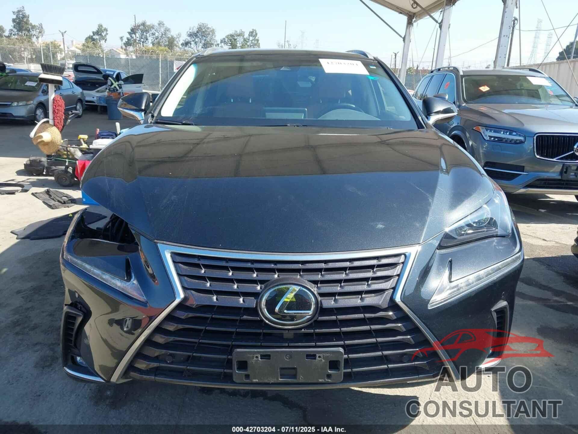 LEXUS NX 300 2019 - JTJYARBZ3K2135347