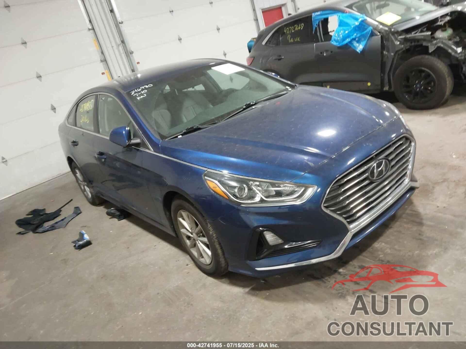 HYUNDAI SONATA 2019 - 5NPE24AF7KH800407
