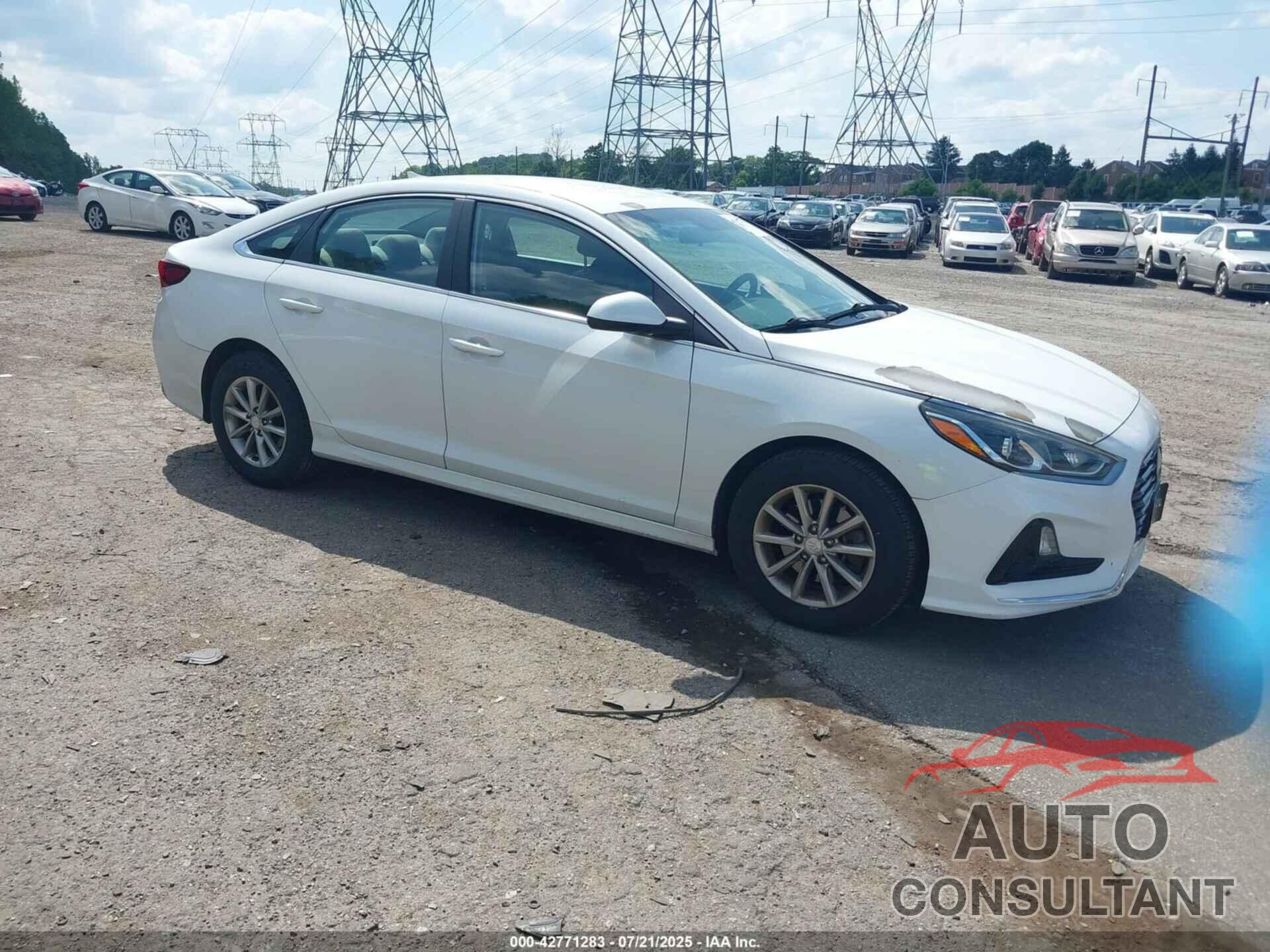 HYUNDAI SONATA 2019 - 5NPE24AF4KH786742