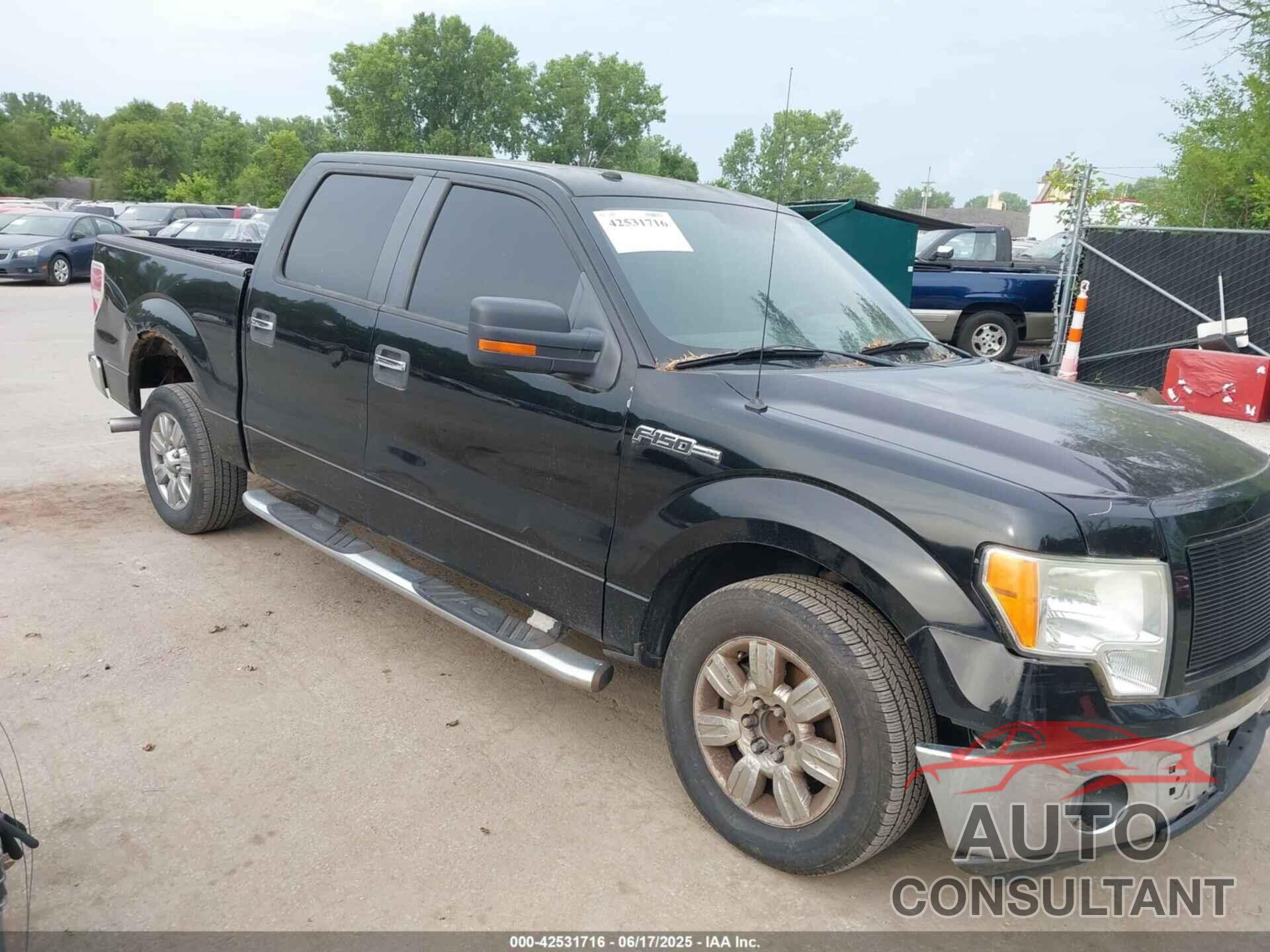 FORD F-150 2009 - 1FTRW12849KA75199