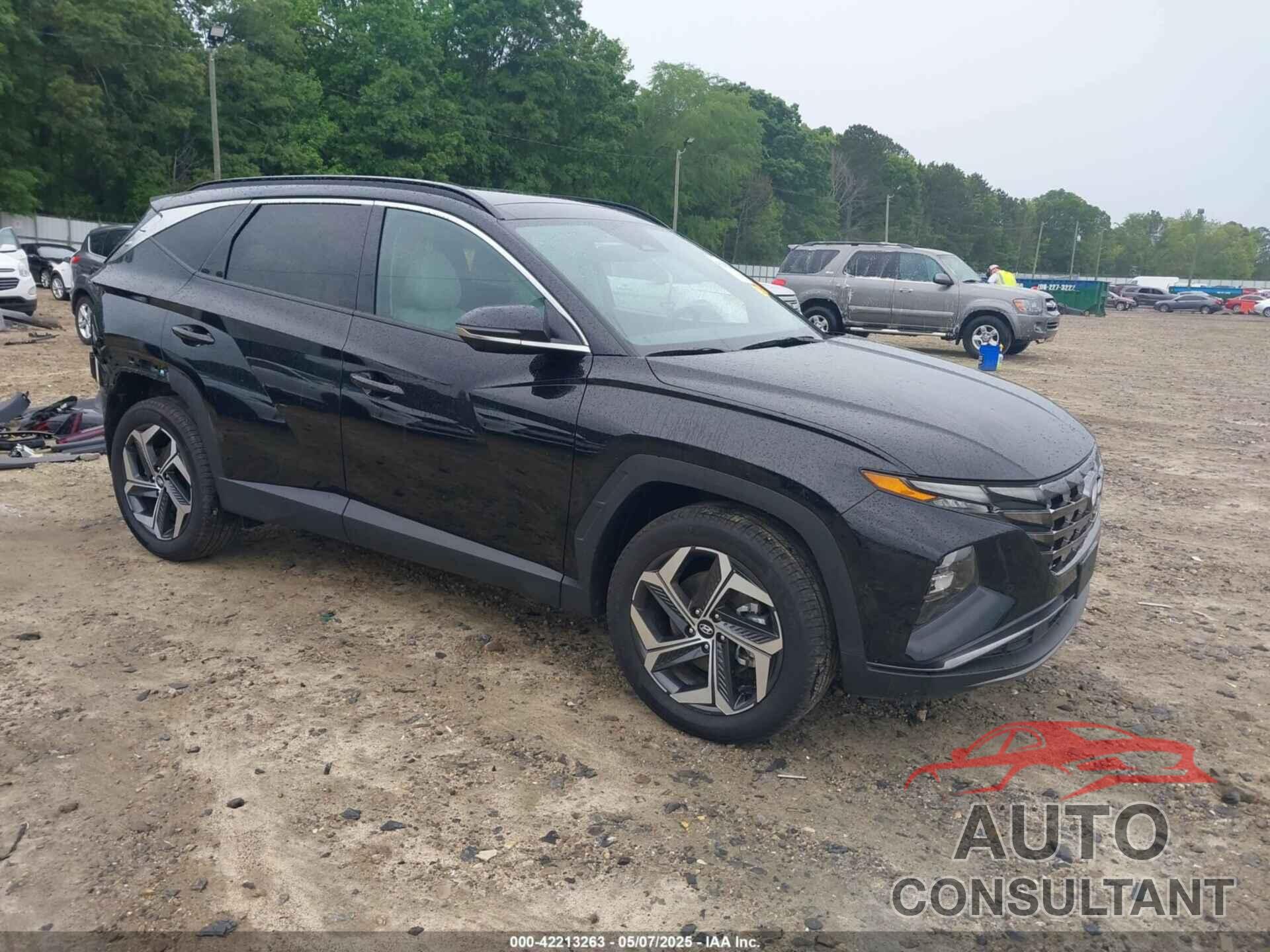 HYUNDAI TUCSON 2024 - 5NMJECDE6RH351604