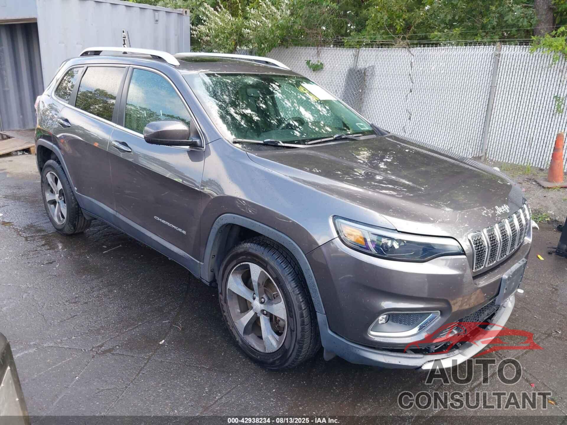 JEEP CHEROKEE 2019 - 1C4PJMDN1KD149179