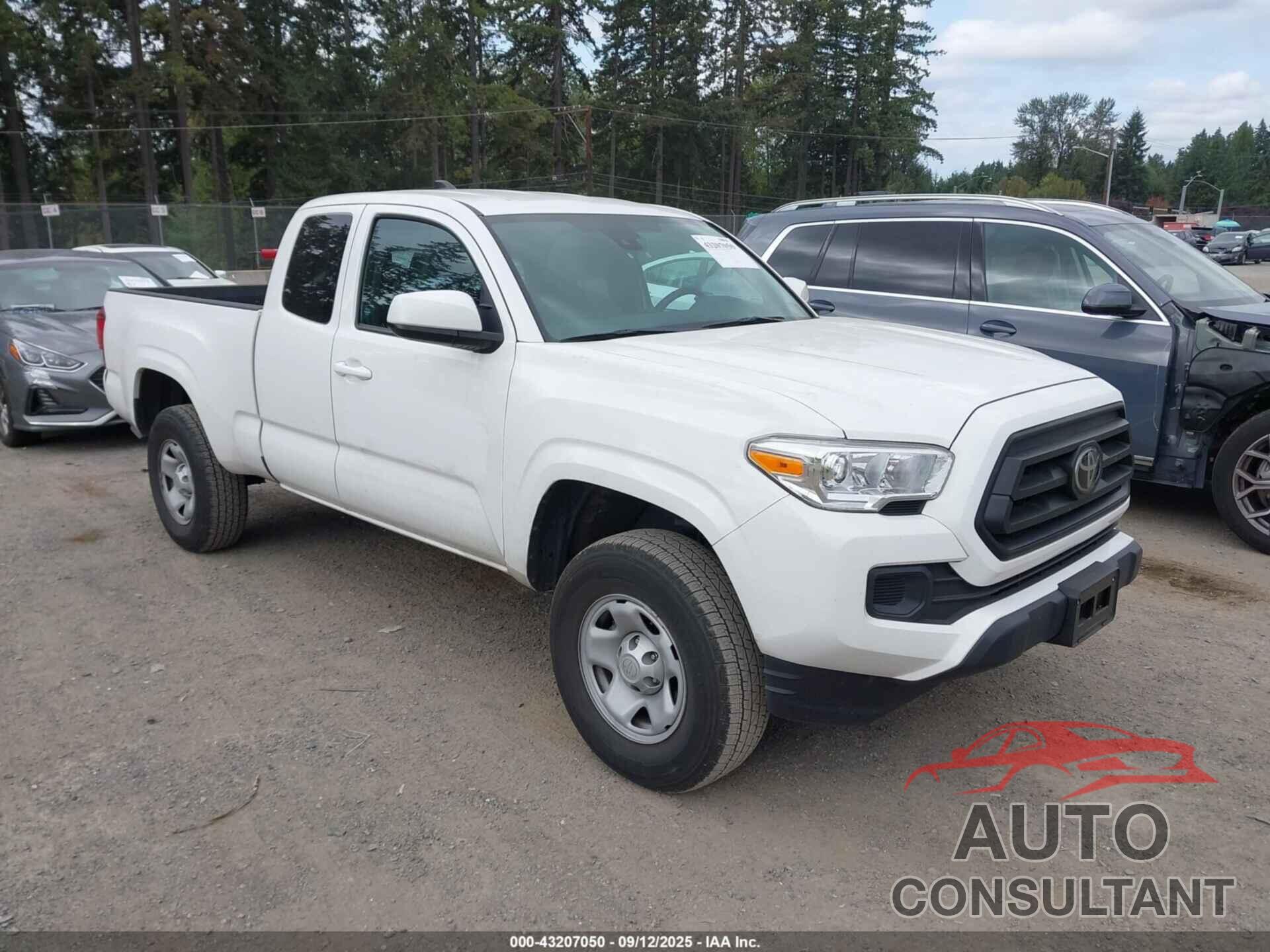 TOYOTA TACOMA 2023 - 3TYRX5GNXPT091002